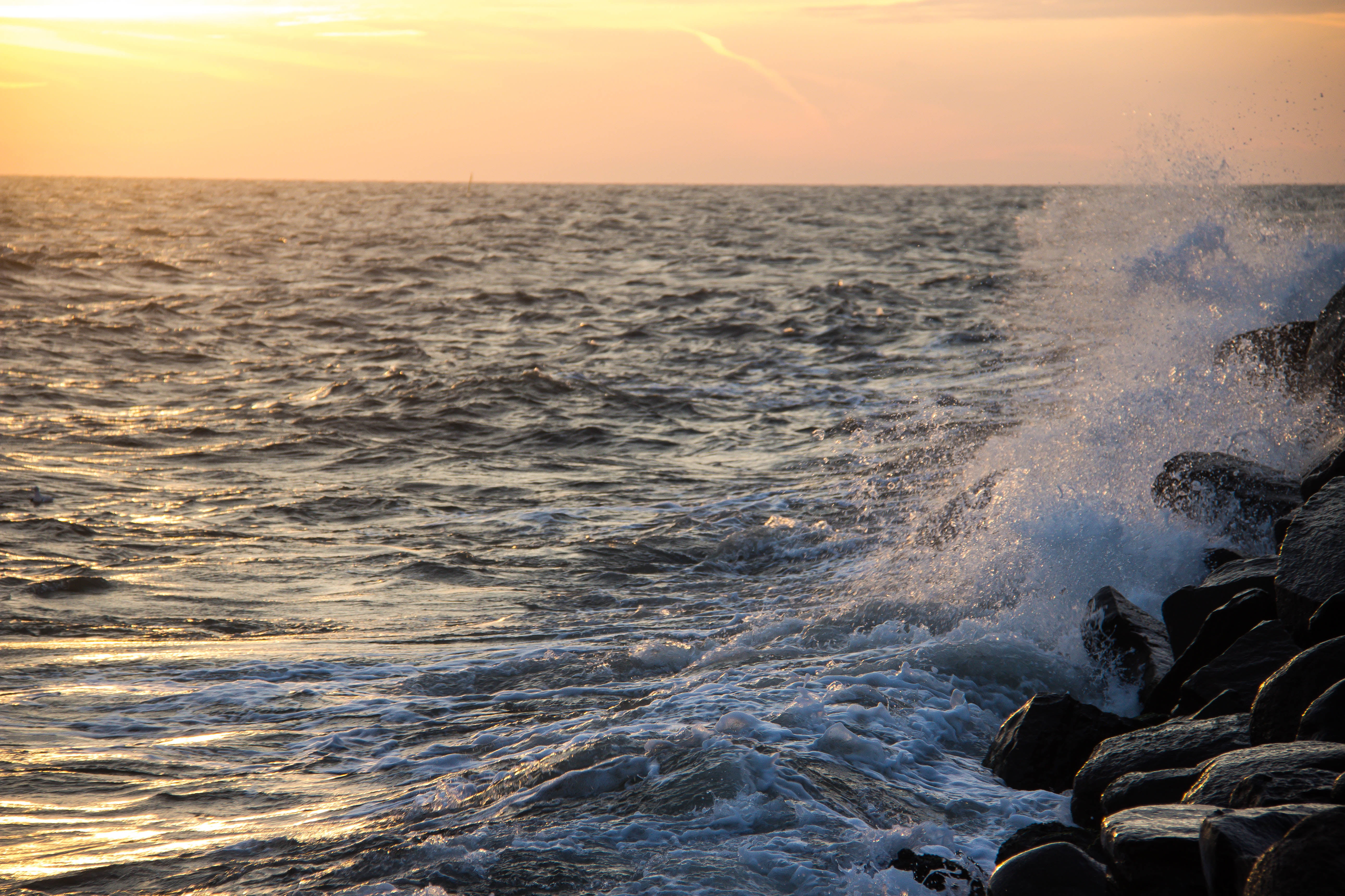 nature, surf, Sea, seascape, Smygehuk, splashing, beach, 5K, Splash, ocean, hav, water, coastline, sunset, stones, wave, HD Wallpaper
