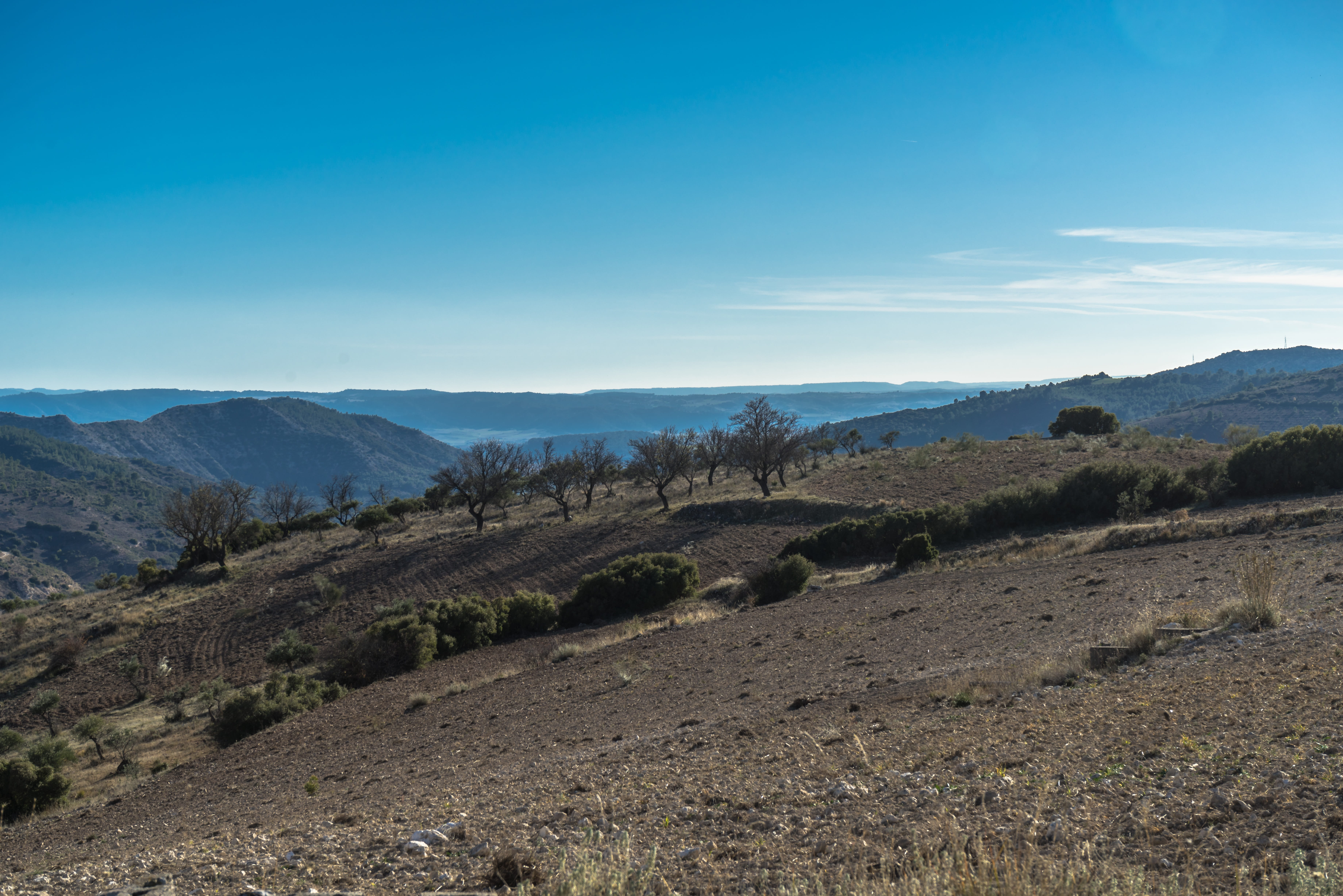 sun, outdoors, copy space, 5K, clouds, idyllic, tranquil scene, horizon, nature, olive trees, beauty in nature, arid, tree, plant, view, sierra, mount, HD Wallpaper