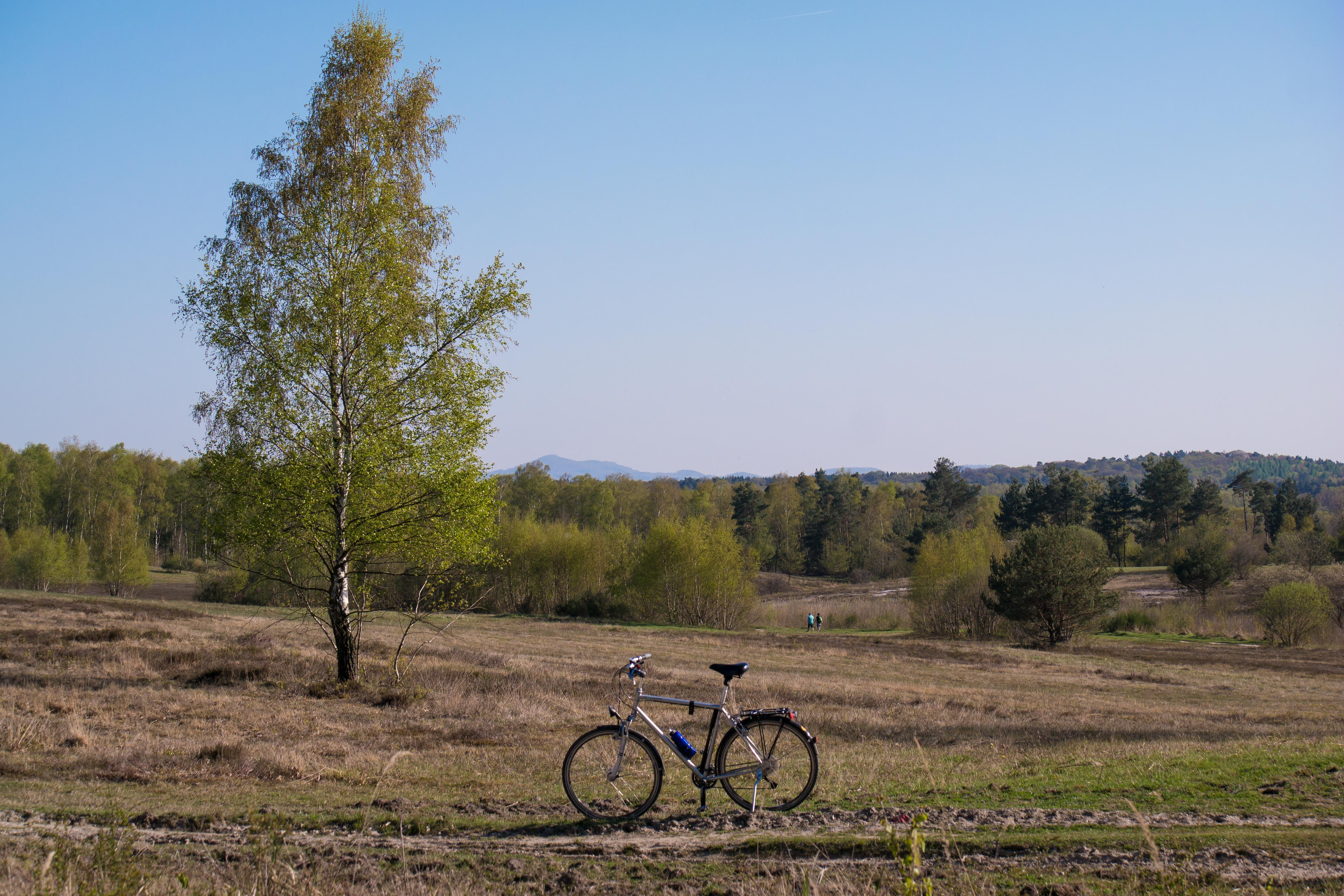 no people, tour, cycling, bike ride, mode of transportation, hiking, plant, land, mount of olives, wanderer, road, 5K, scenics - nature, more, sky, riding, HD Wallpaper