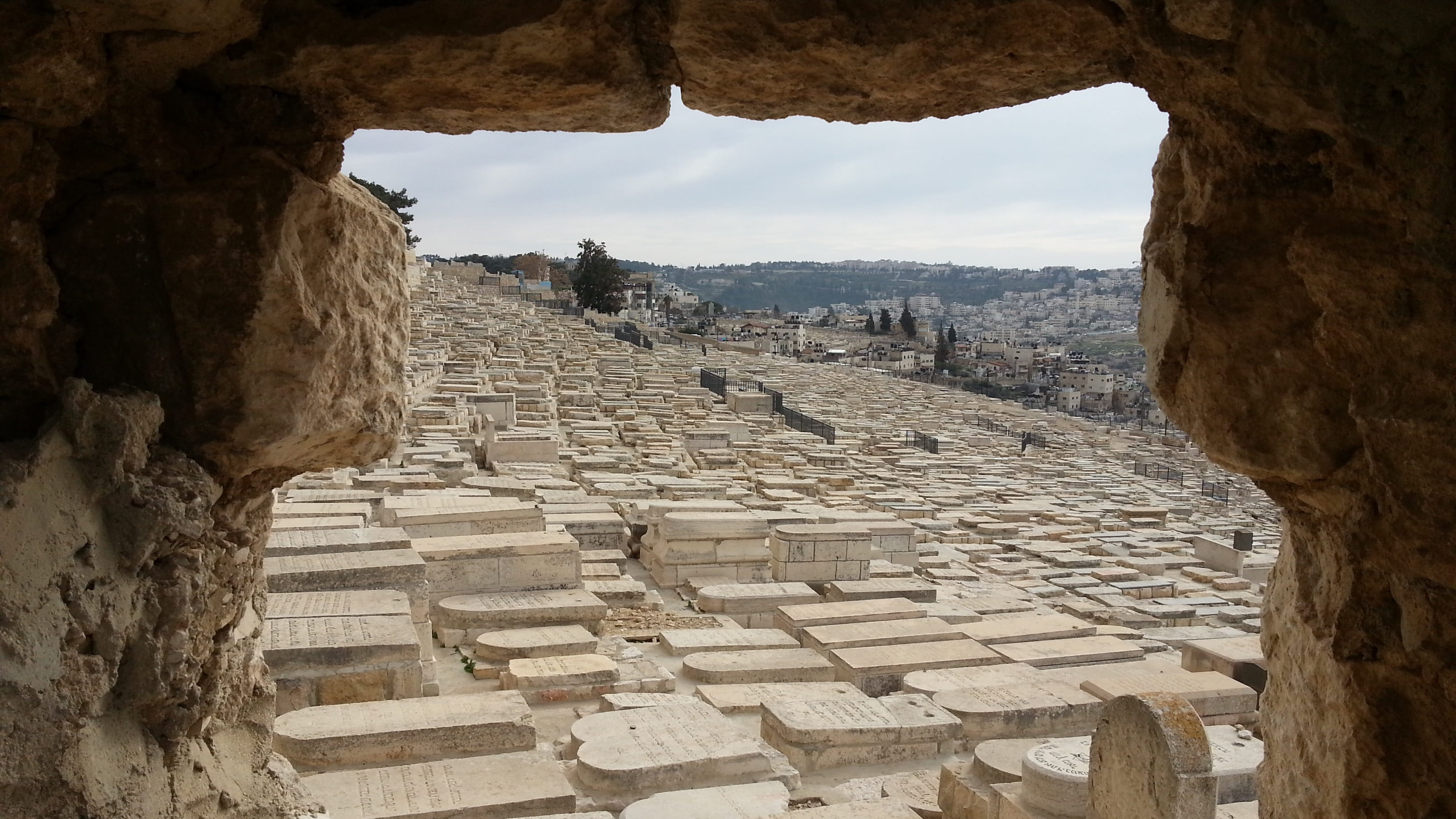 ruined, nature, sky, history, travel destinations, amphitheater, outdoors, ancient history, arch, archaeology, day, city, architectural column, solid, the mount of olives, HD Wallpaper