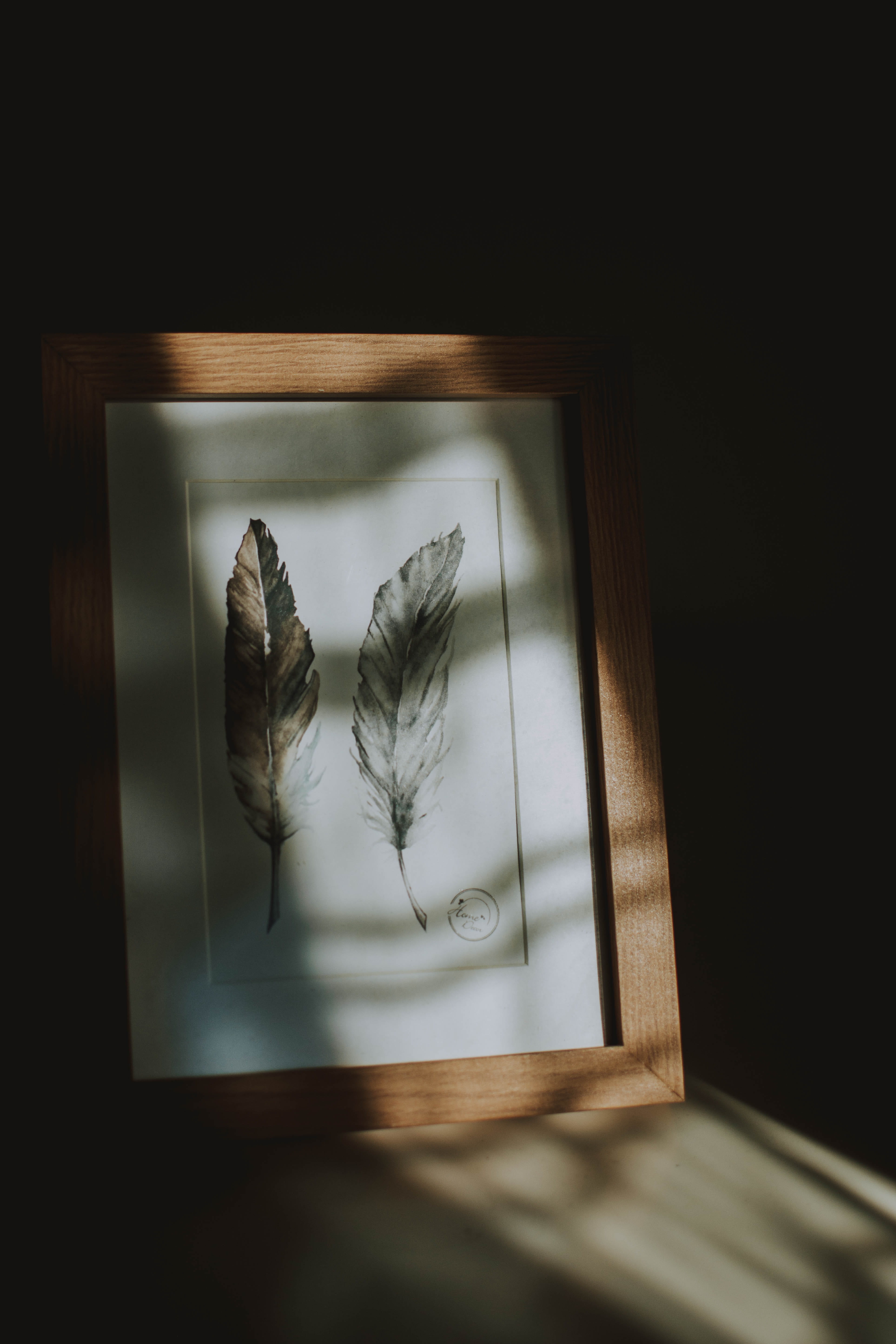 animal themes, feathers, reflection, transparent, black background, emotion, plant, table, shadow, frame, indoors, dark, no people, animal, picture frame, Phone HD Wallpaper