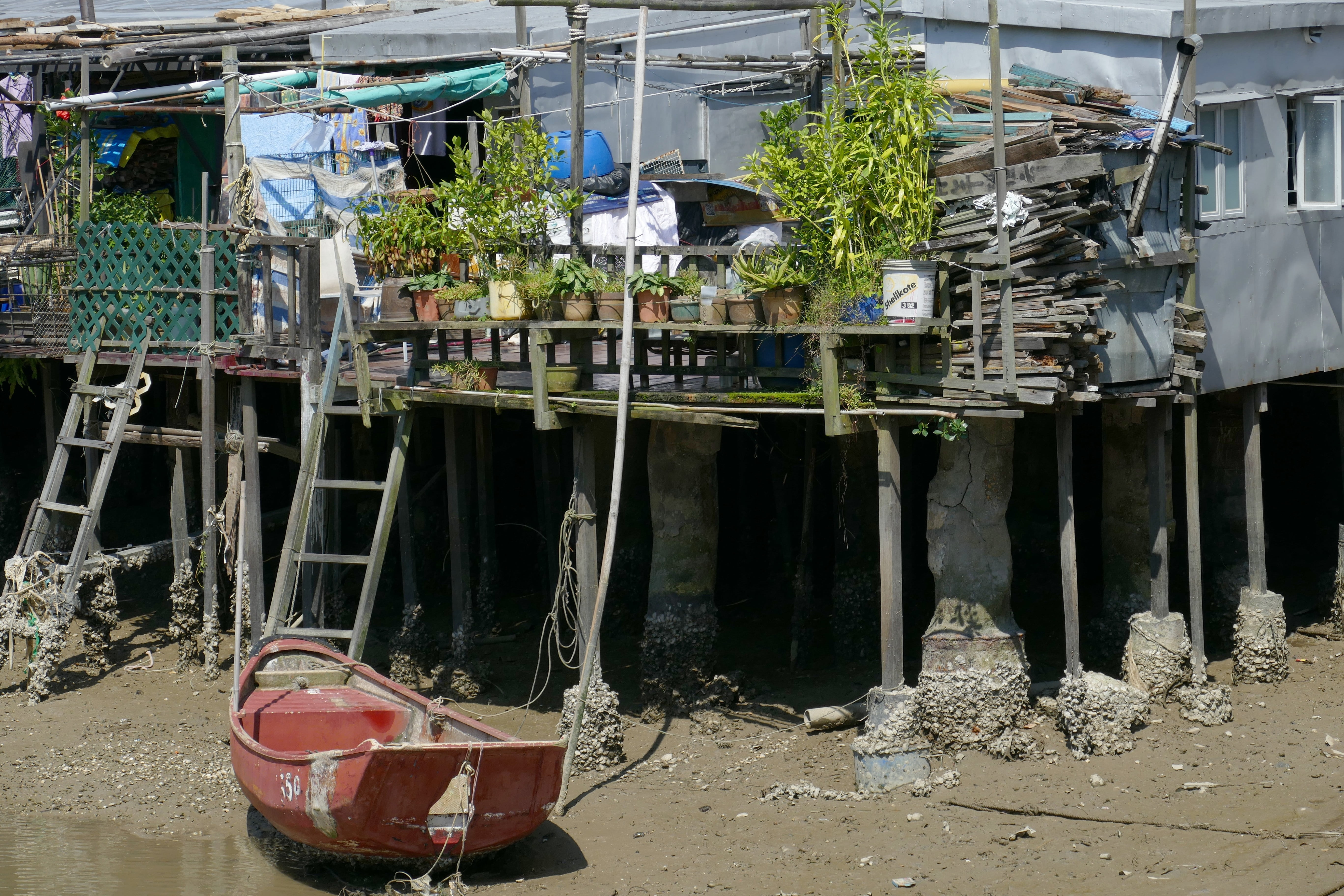built structure, tai o, water, damaged, nautical vessel, hong kong, fishing village, poverty, obsolete, asia, abandoned, plant, decline, boat, near, ship, HD Wallpaper
