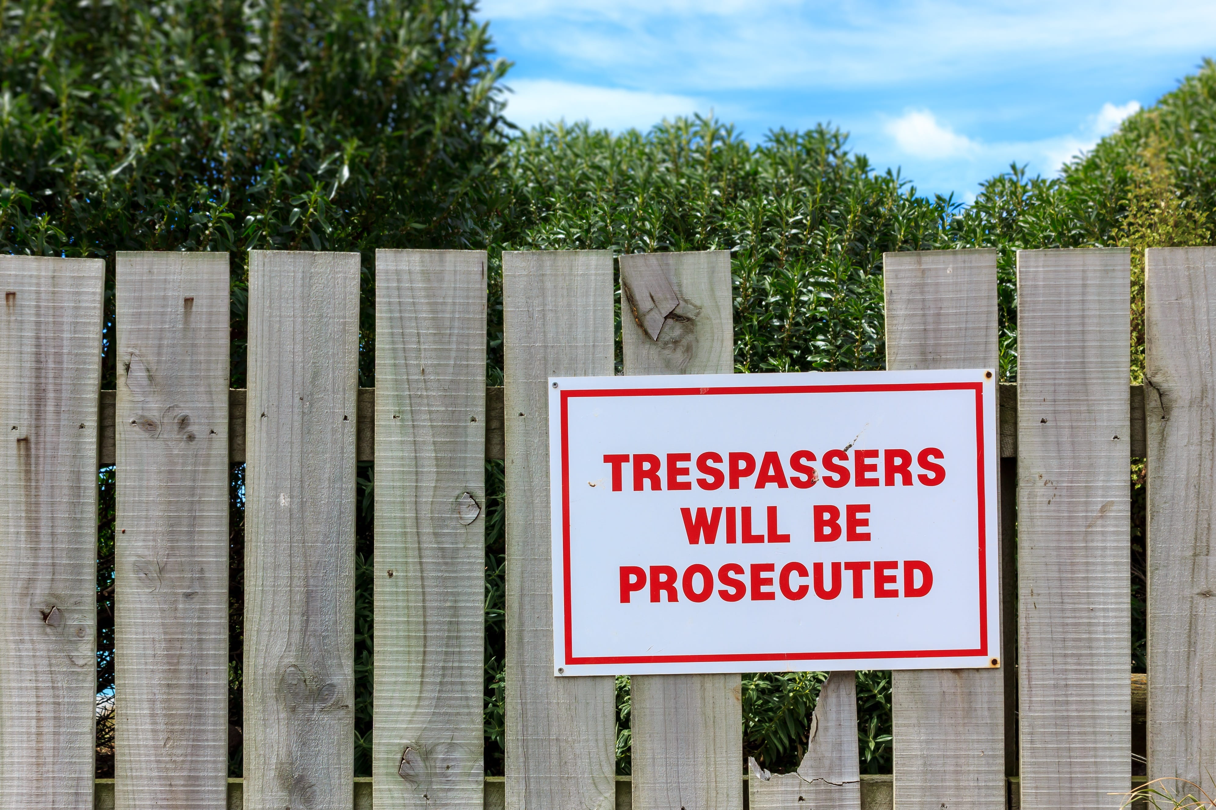 4K, day, barrier, capital letter, outdoors, no people, wooden fence, wood, tree, western script, cloud - sky, trespassing, iron, safety, trespassers, plant, HD Wallpaper