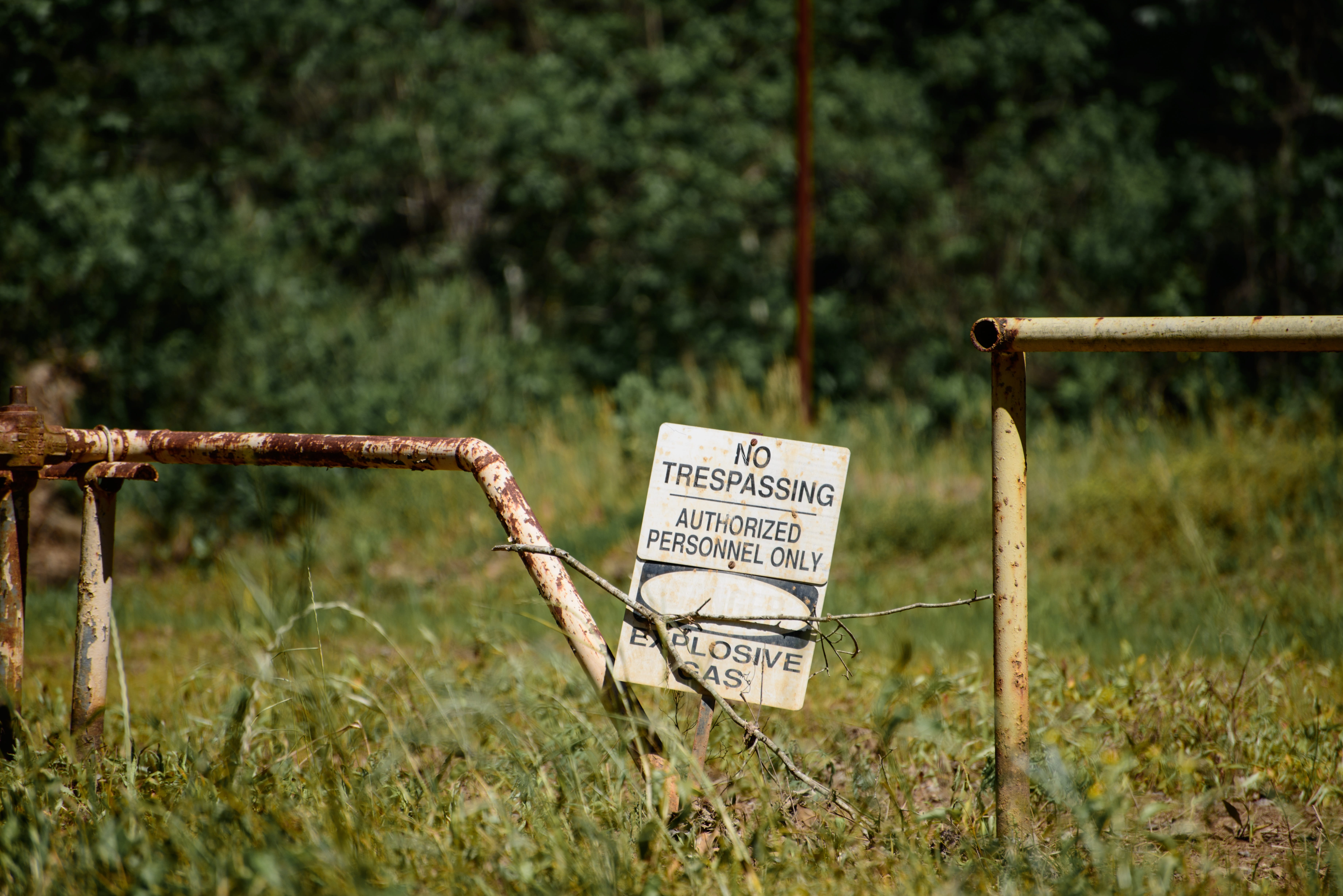 safety, plant, communication, land, message, day, old, trespass, nature, No Trespassing, Sign, fence, western script, no people, Signage, selective focus, HD Wallpaper