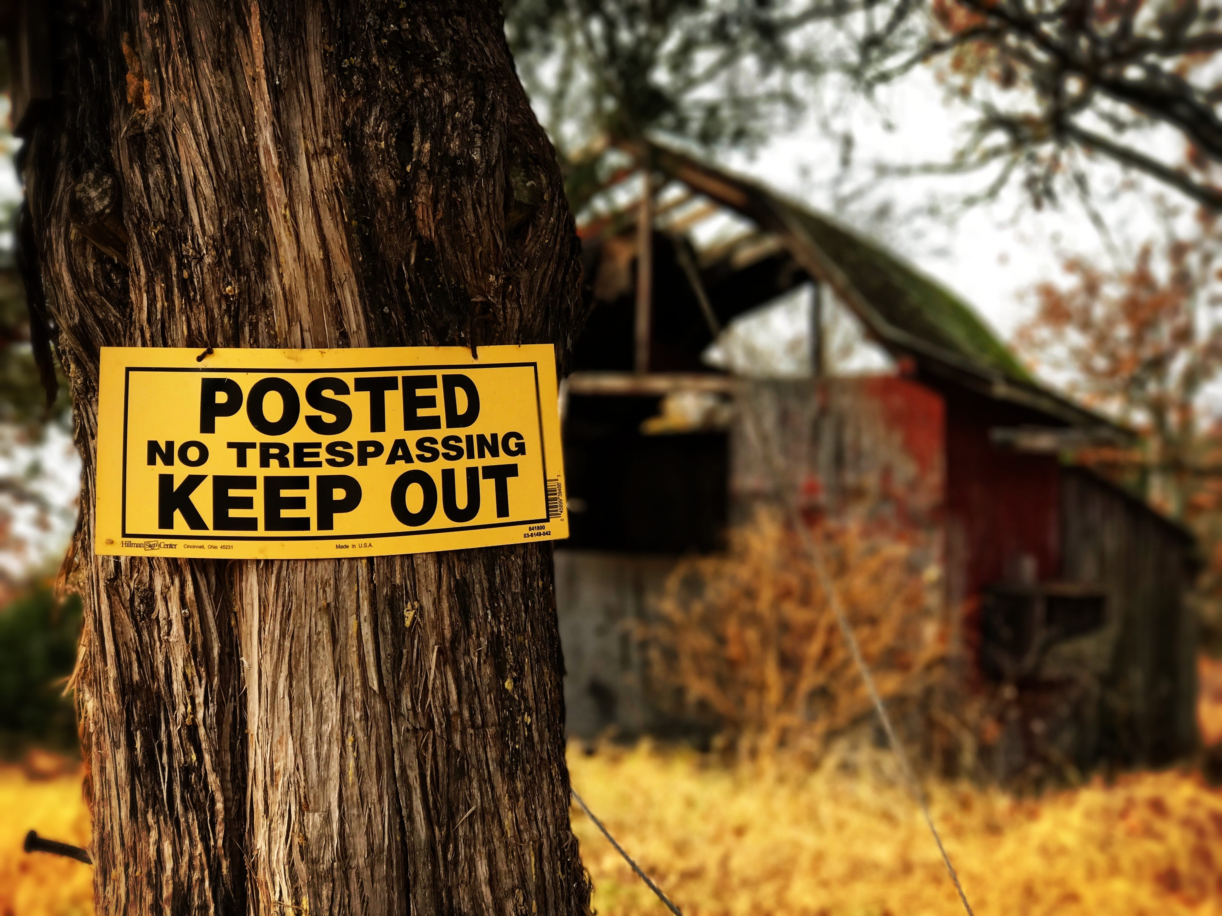 no people, land, housing, vegetation, wister, hut, 30577 maggie loop, non-western script, trunk, forest, rainforest, woodland, tree trunk, warning sign, HD Wallpaper