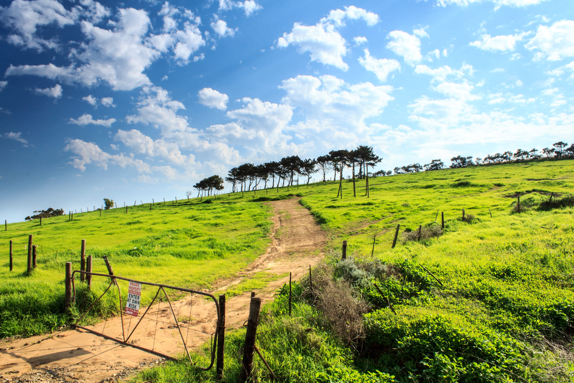 no people, agriculture, country, tranquility, paddock, fence, boundary, trees, tree, scenics - nature, meadow, no trespass, white, countryside, landscape, HD Wallpaper