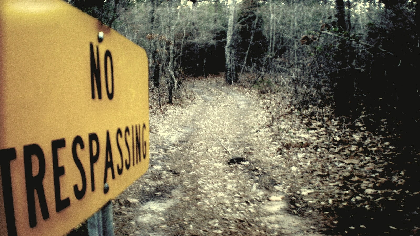 land, transportation, road, no people, yellow, outdoors, day, communication, message, exploring trespassing, sign, information, graffiti, 720P, western script, HD Wallpaper