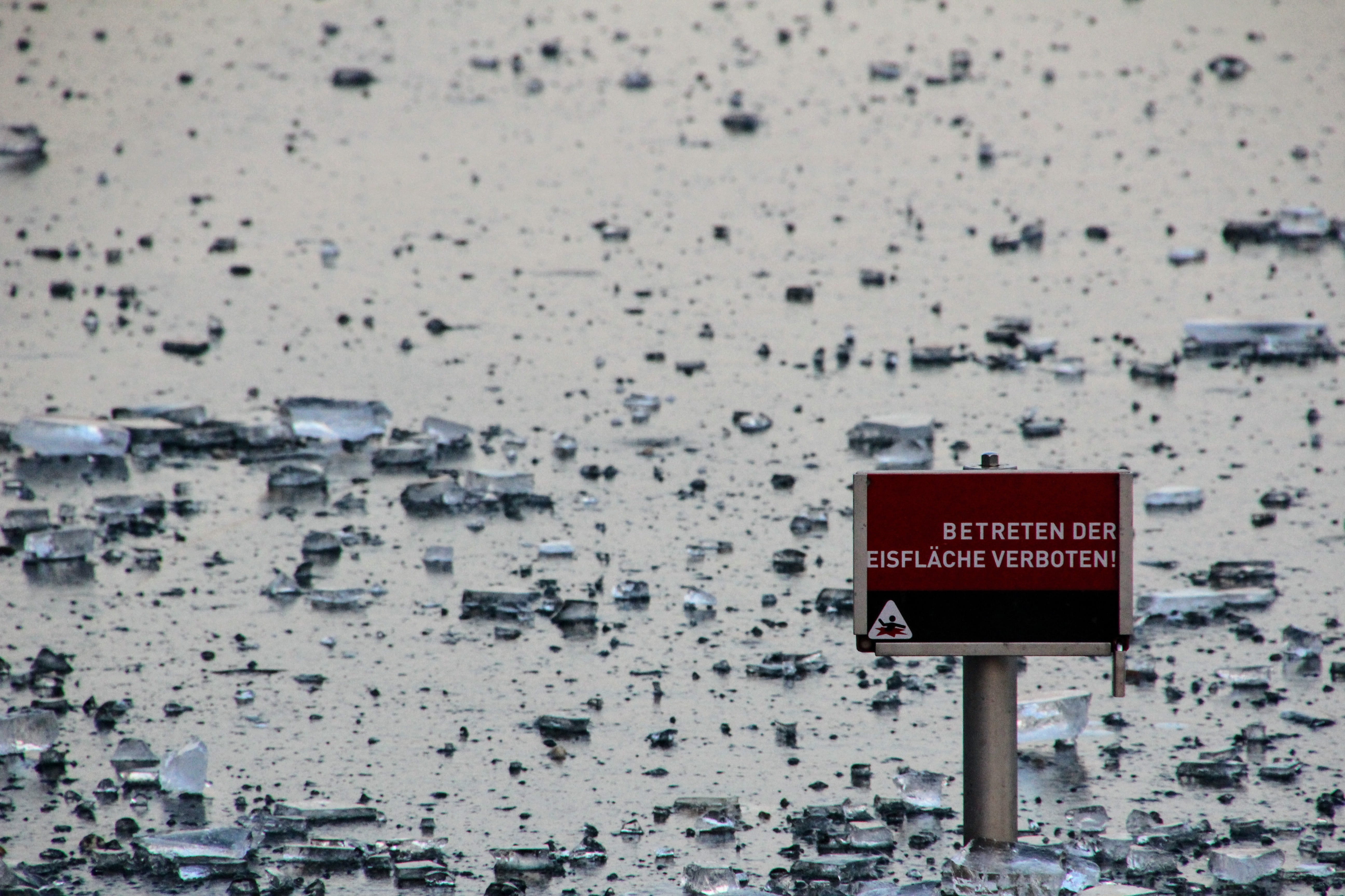 Frozen, information sign, phoenix lake, hörde, western script, text, Lake, dortmund, lake, danger, day, focus on foreground, no people, sign, warning sign, HD Wallpaper