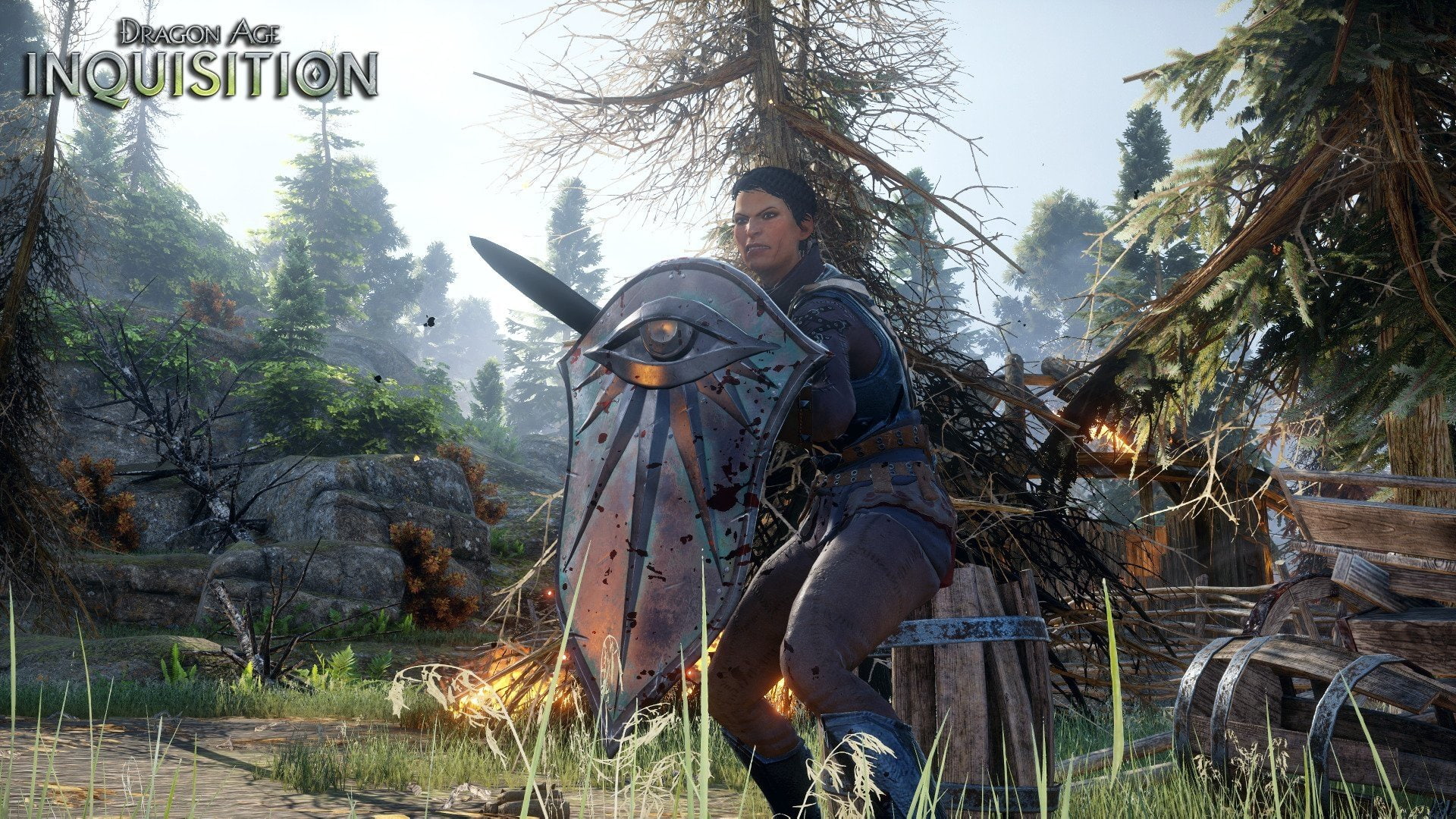 Dragon Age: Inquisition, Dragon Age, Cassandra Pentaghast, 1080P, HD Wallpaper