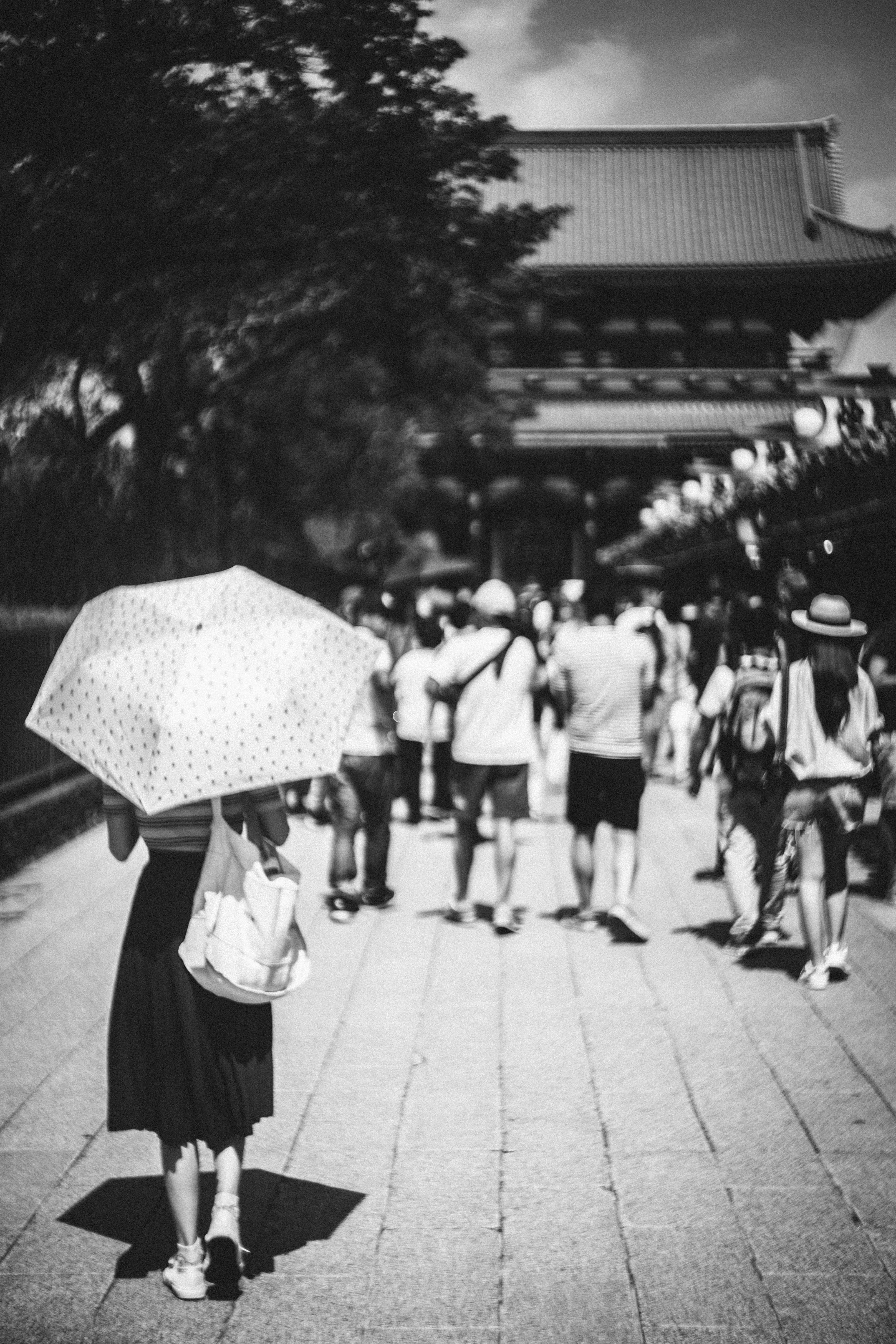 child, japan, canopy, tokyo, plant, tree, woman, rear view, building, shrine, person, women, photography, city, 5K, shoe, group of people, street, childhood, Phone HD Wallpaper
