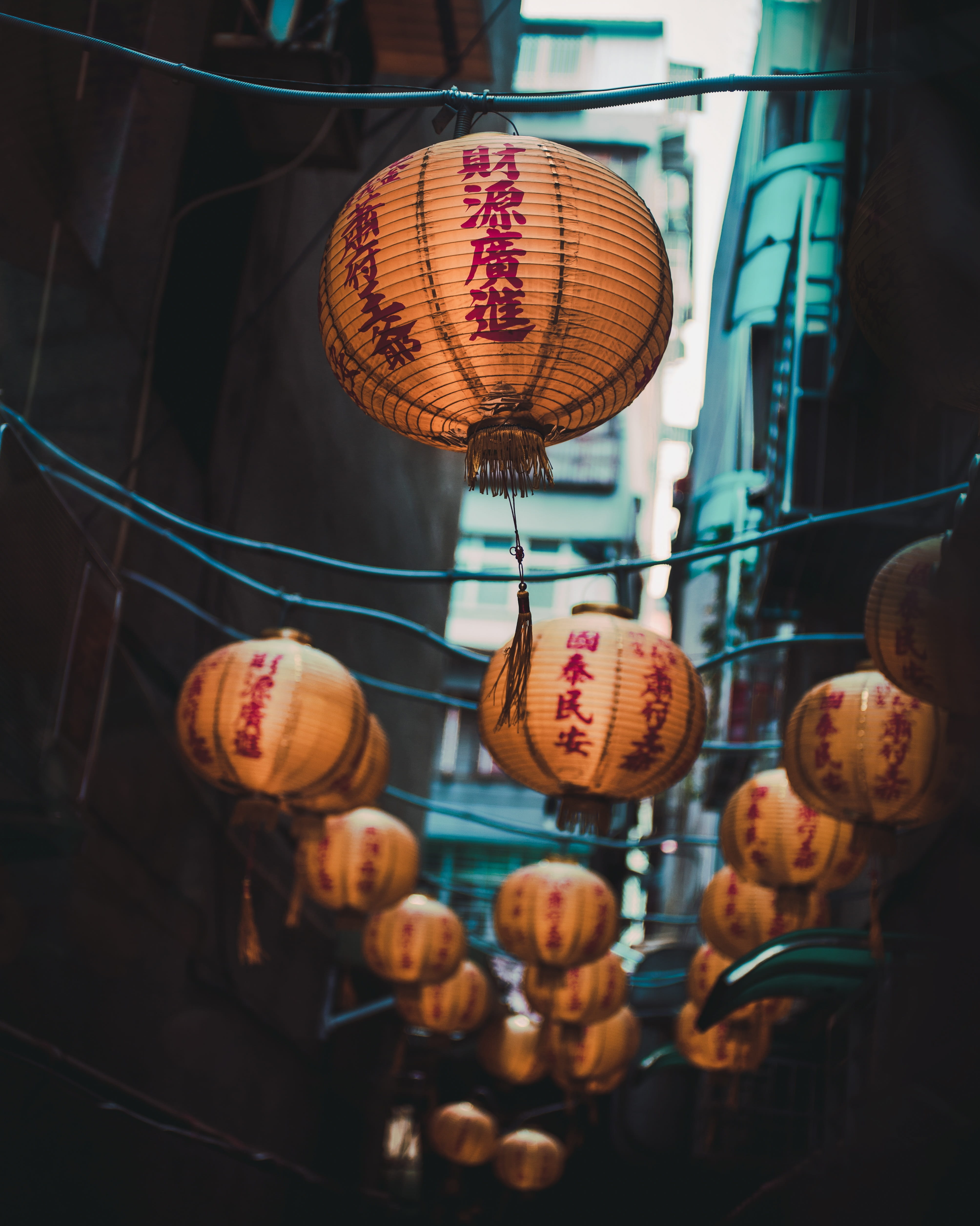 variation, paper lantern, spring, choice, taiwan, asian, ceiling, decoration, lighting equipment, day, electricity, travel, lantern, chinese lantern, multi colored, Phone HD Wallpaper