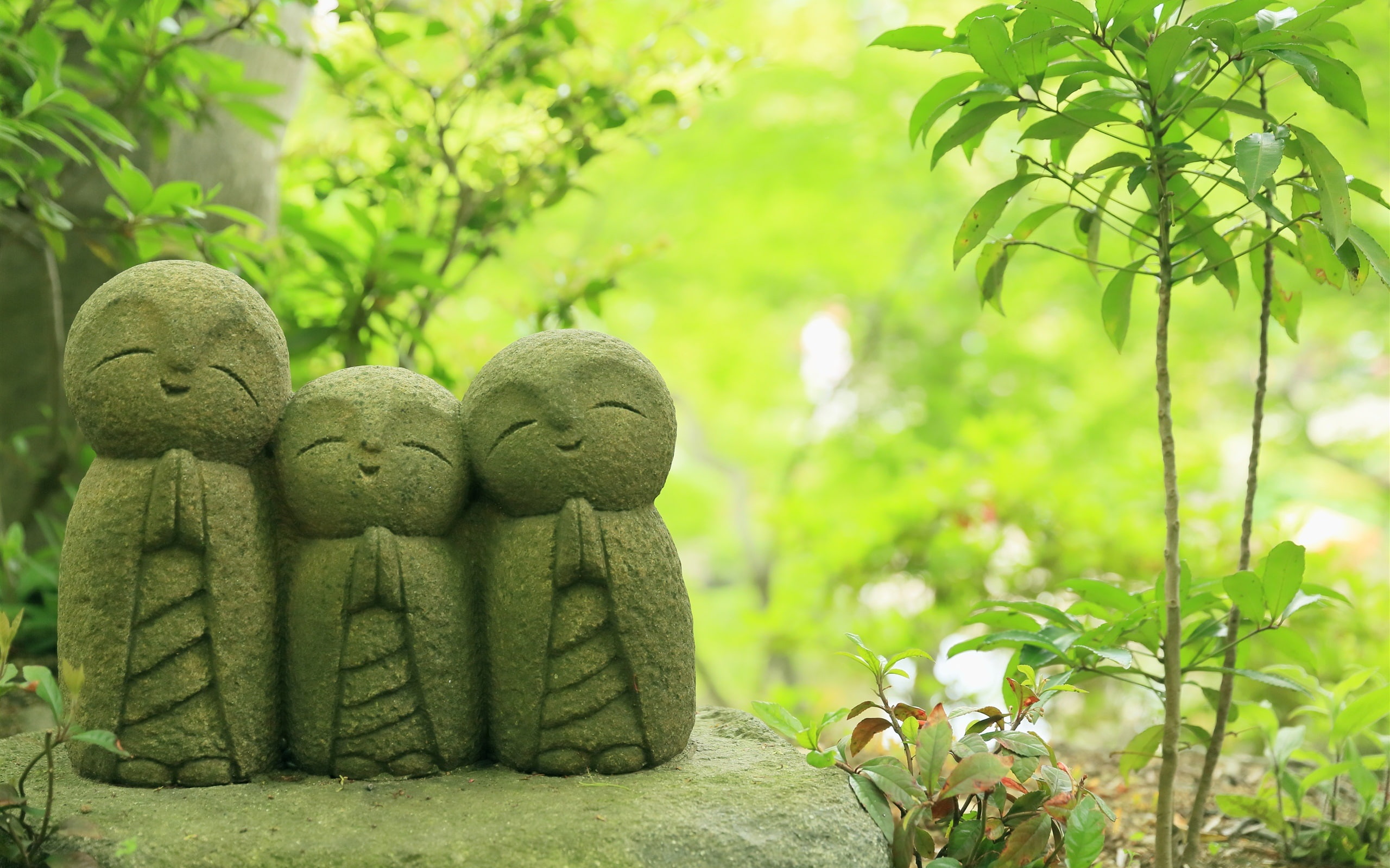 Statues, Hasedera, Japan, Temple, Trees, Kamakura, 2K, HD Wallpaper