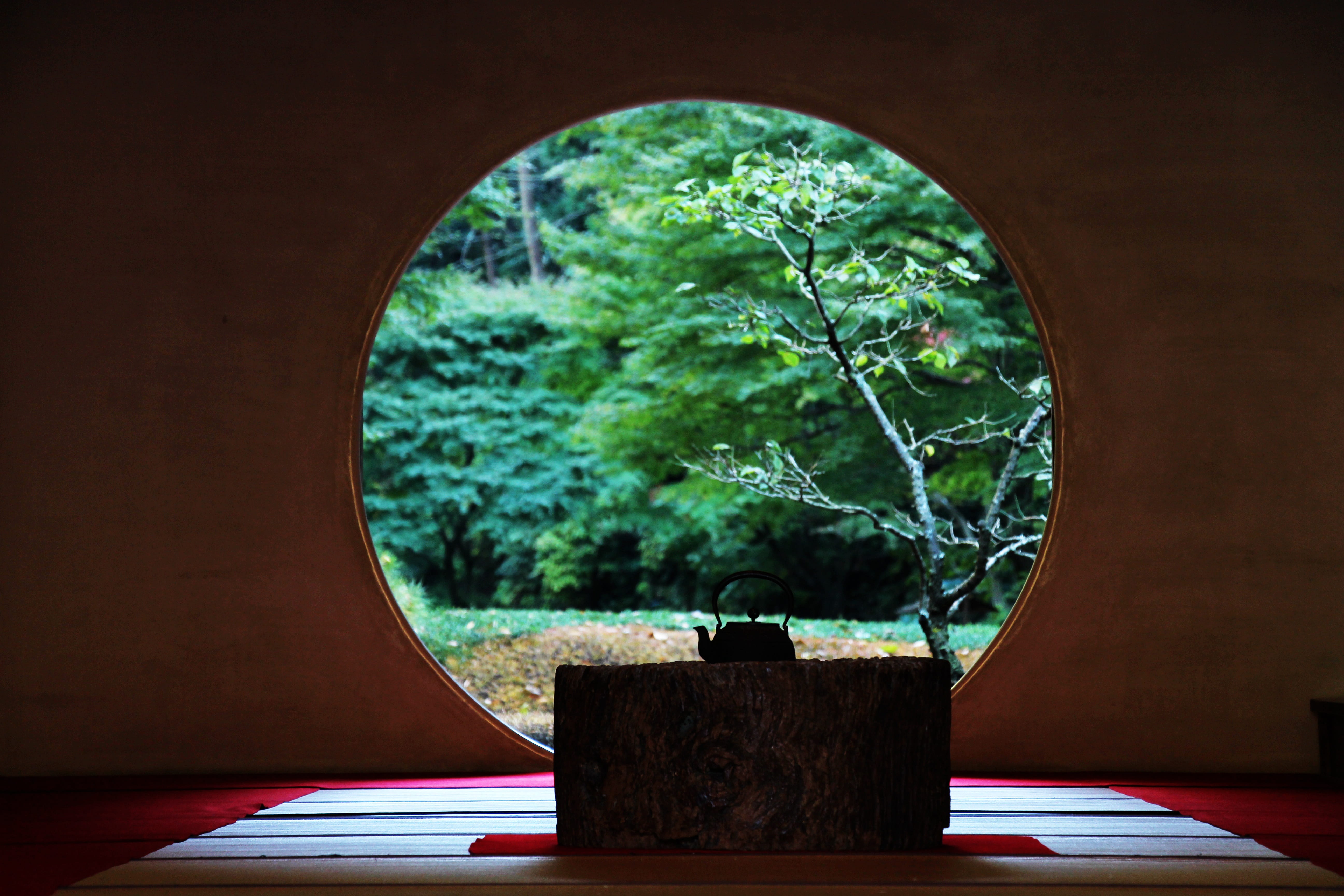 daytime, tree, forest, geometric shape, leafed, land, Kamakura, green, Japan, 5K, Kanagawa, window, kamakura, growth, no people, plant, shape, green color, HD Wallpaper