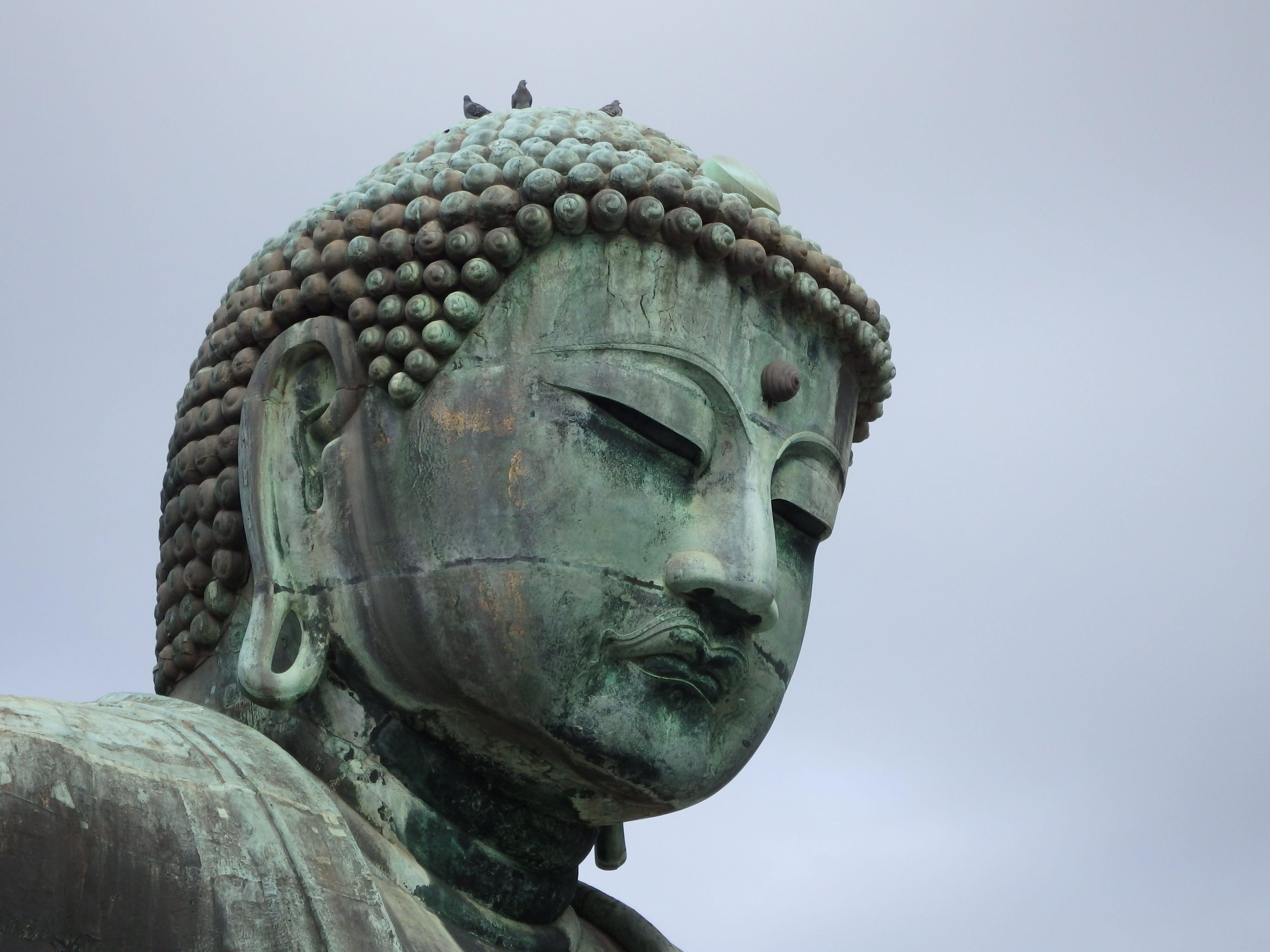 belief, representation, tokyo, religion, culture, human representation, outdoors, buddhist, creativity, art and craft, day, japanese, birds, sky, temple, HD Wallpaper