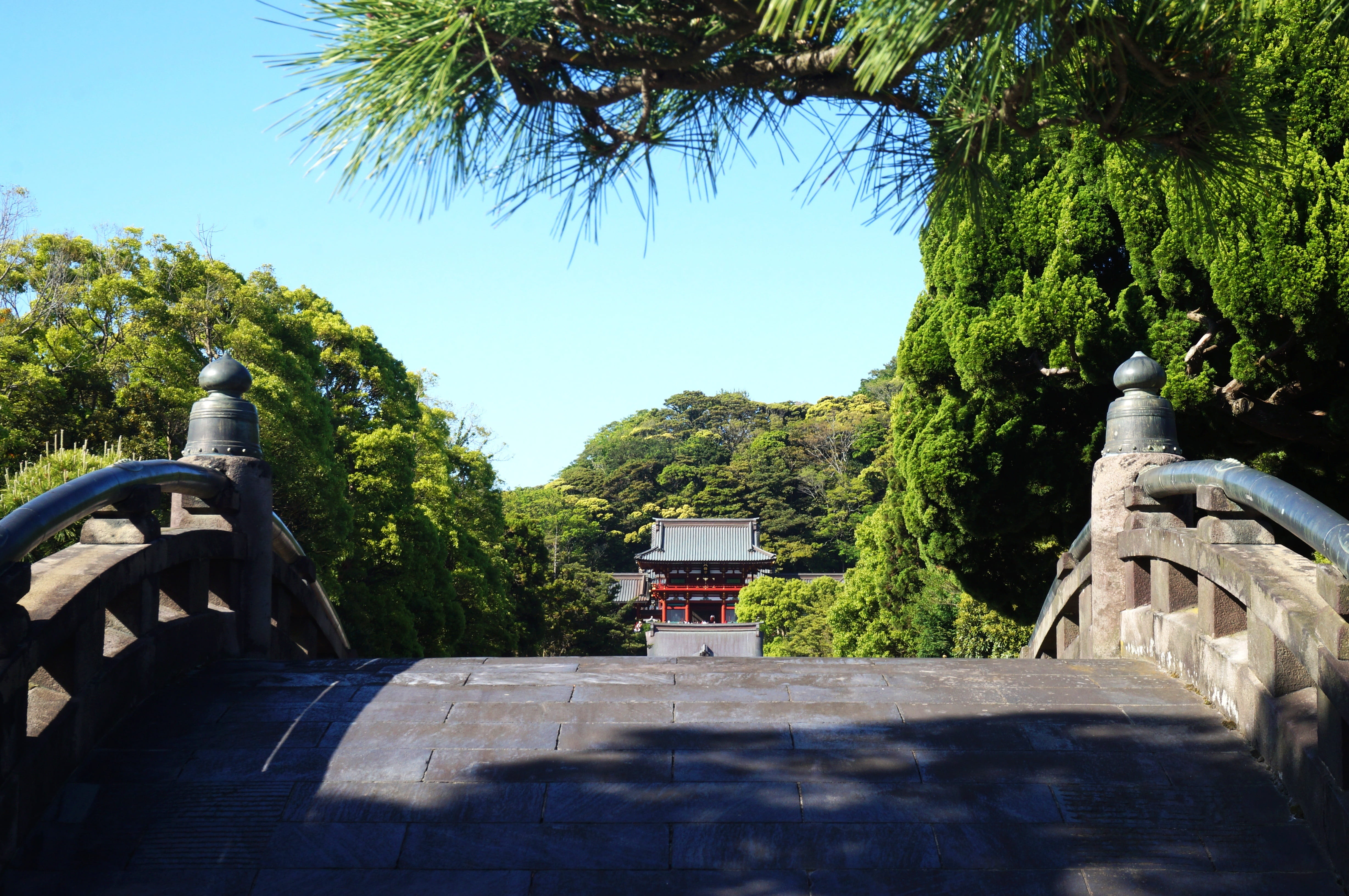 shadow, no people, day, sky, clear sky, nature, footpath, plant, sunlight, Japan, Temple, Bro, building exterior, growth, 4K, tree, architecture, the way forward, HD Wallpaper