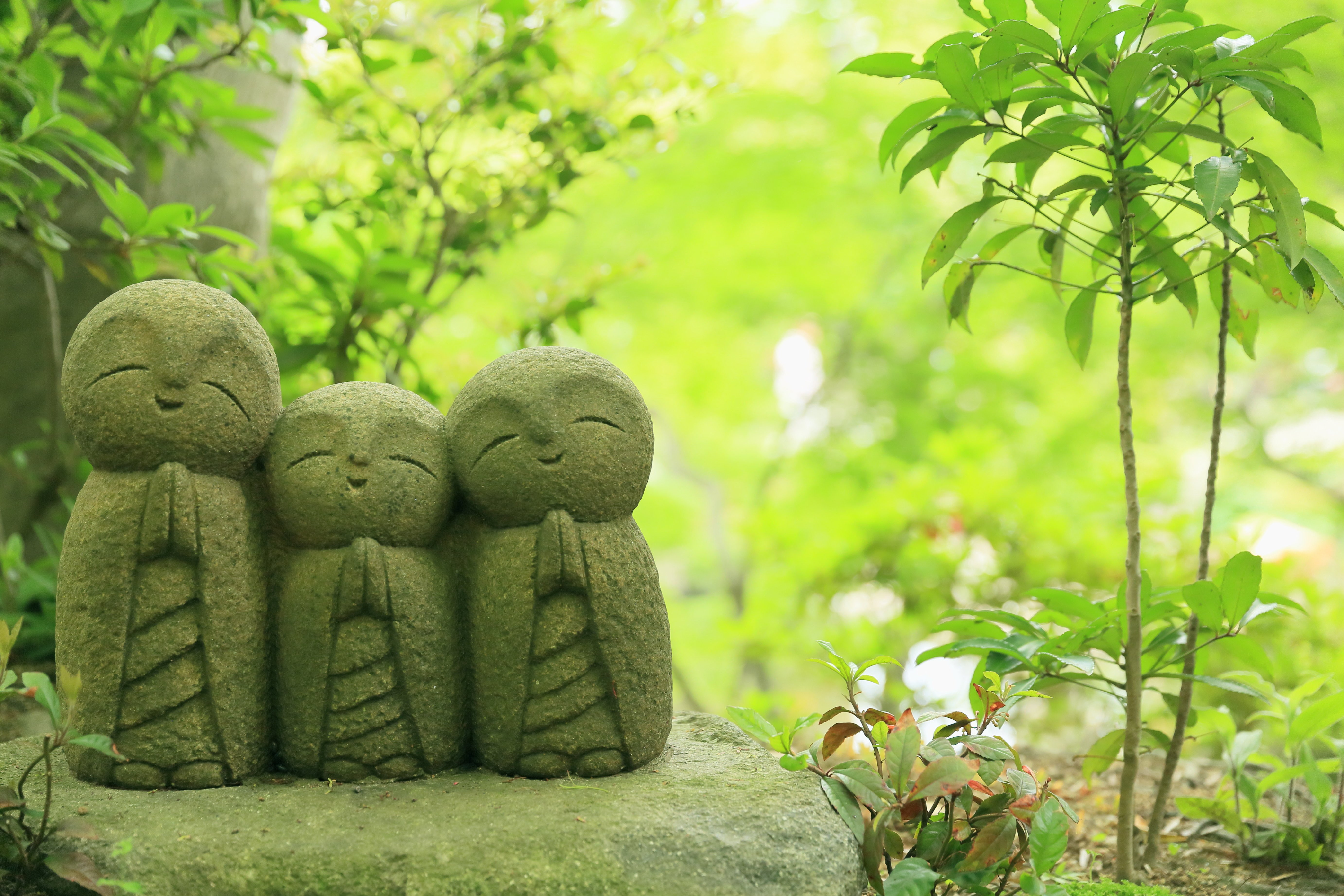 5K, hase-dera, japan, mood, statues, bokeh, temple, HD Wallpaper
