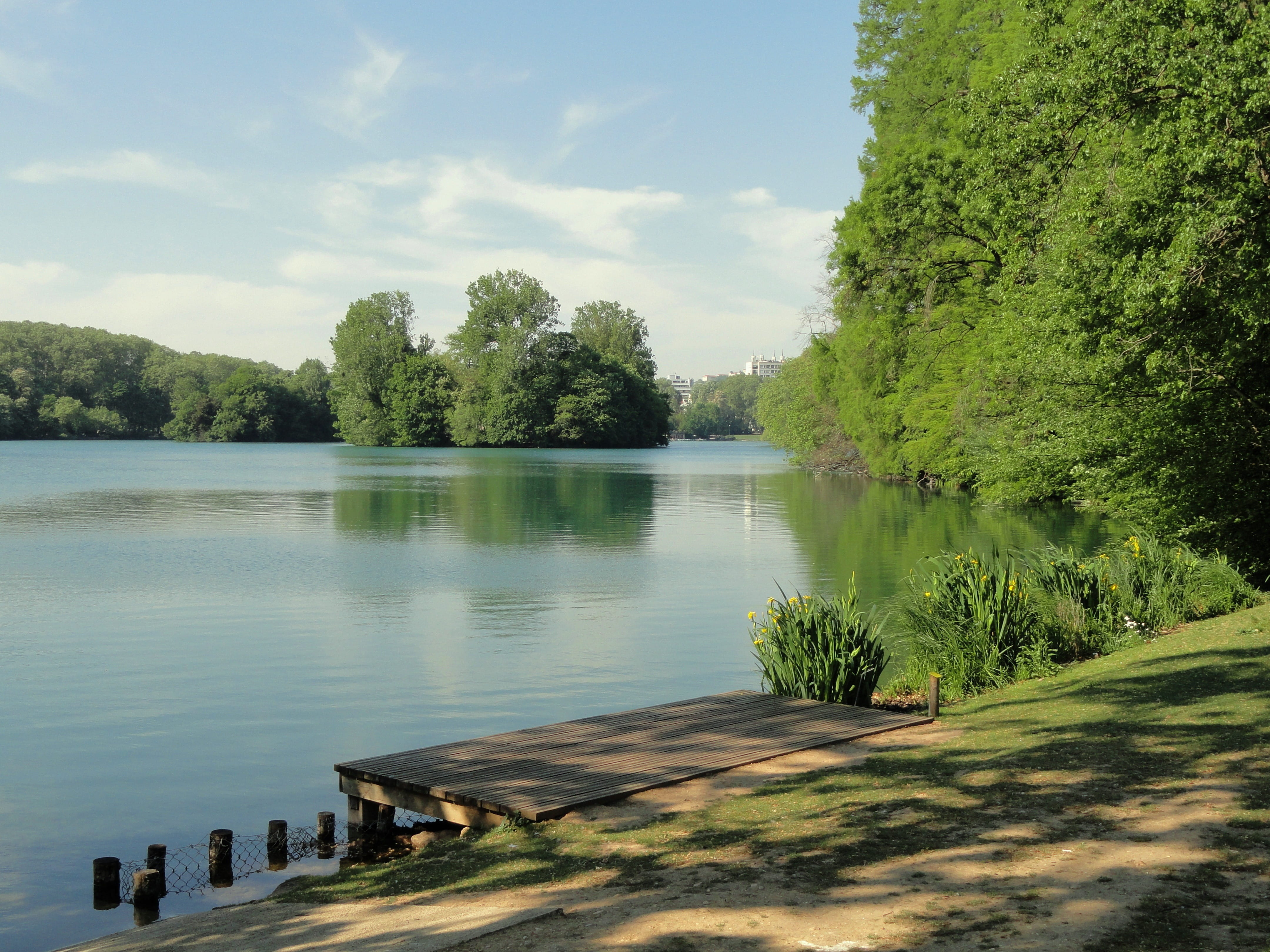 scenic, Woods, body, shoreline, scenics - nature, sky, lyon, reflections, summer, shore, park, sunlight, Lake, clouds, daytime, cloud - sky, brown, countryside, HD Wallpaper