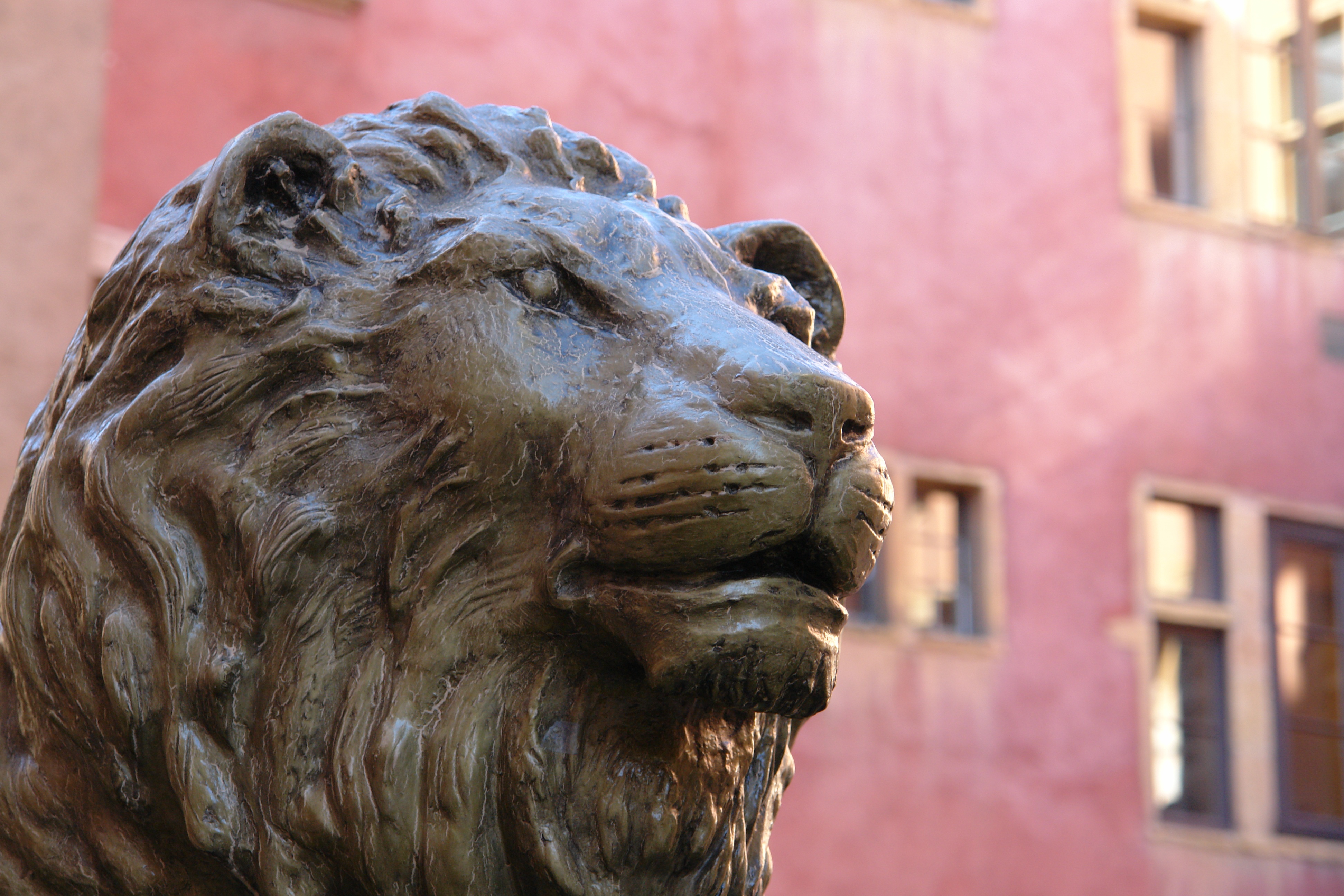 focus, outdoors, one animal, animal themes, built structure, monument, animal head, lyon, shallow, street, museum, old lyon, craft, 4K, architecture, creativity, HD Wallpaper