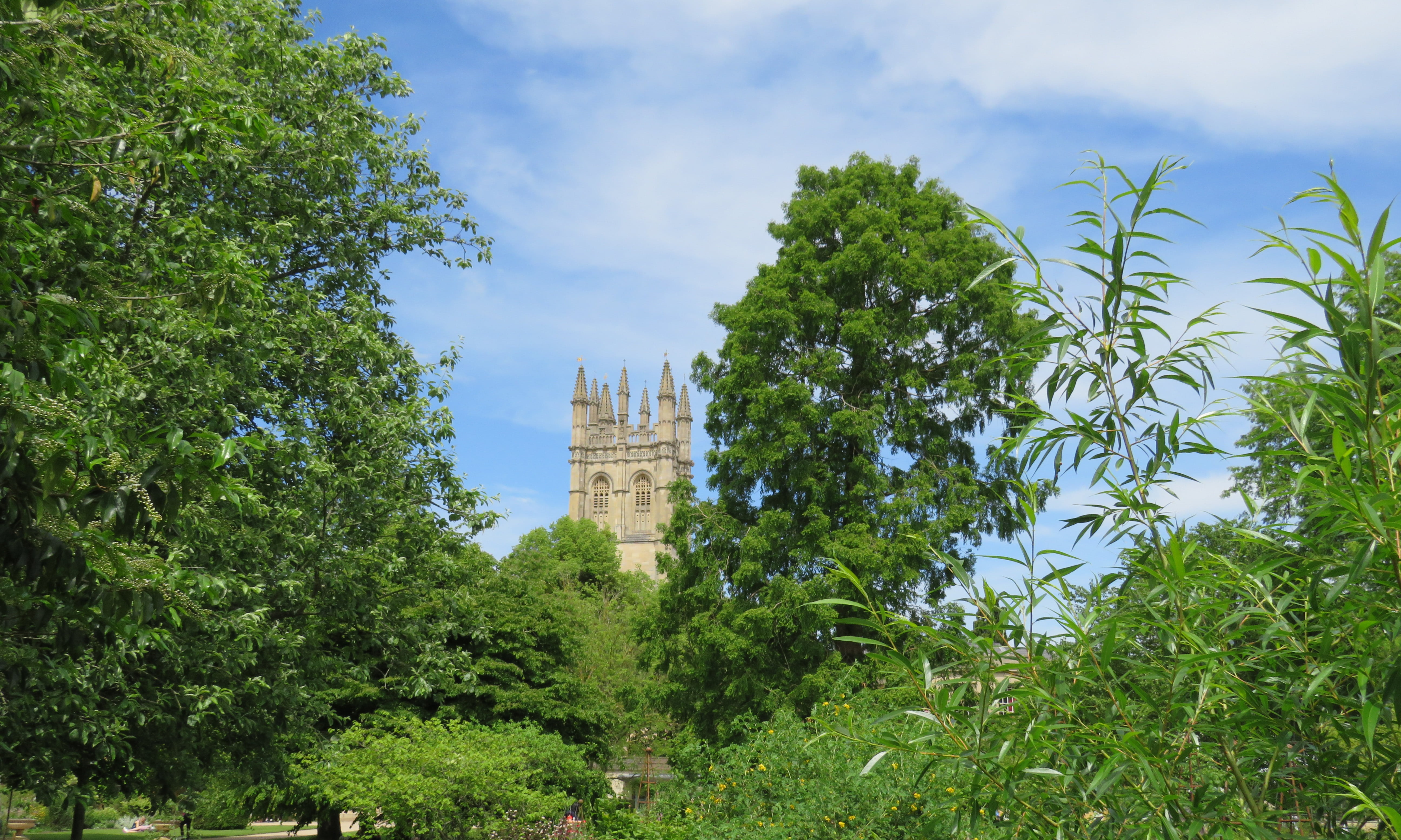 building exterior, oxfordshire, architecture, no people, religion, built structure, university, day, green color, travel, cloud - sky, magdalen, plant, HD Wallpaper