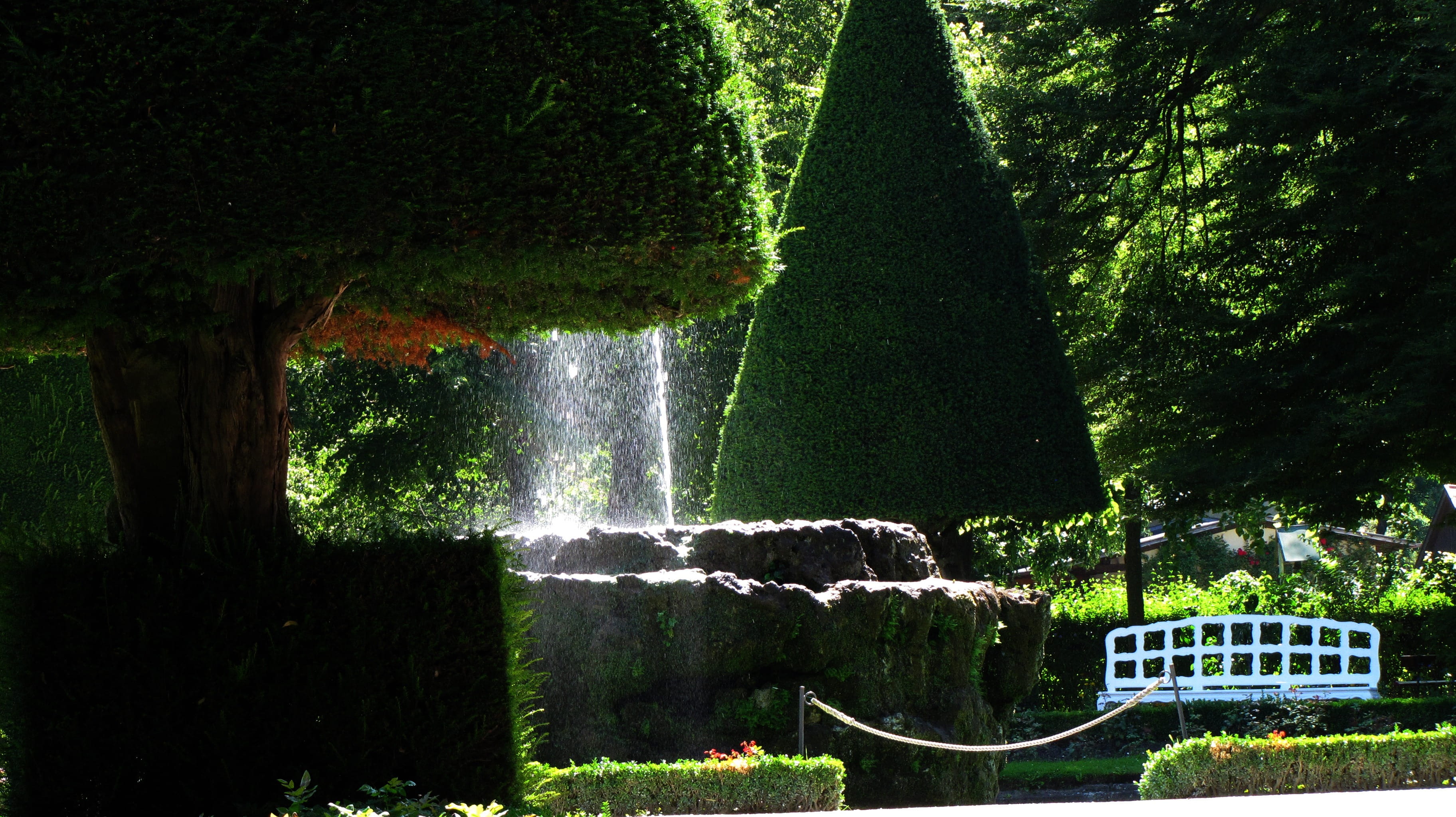 würzburg, built structure, plant, flowing, trunk, flowing water, green, light, beauty in nature, park - man made space, outdoors, ornamental garden, green color, HD Wallpaper