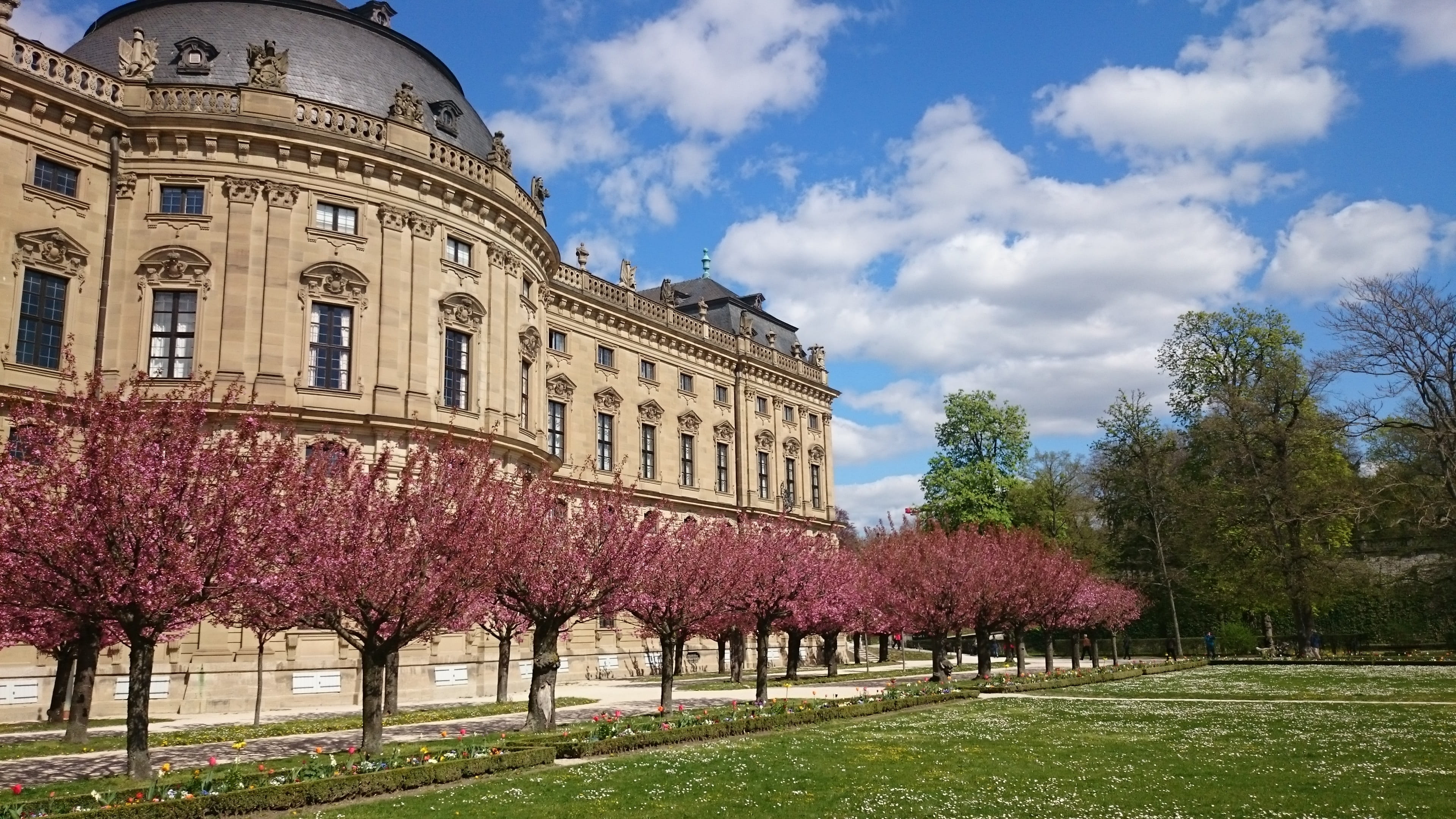 no people, day, residence, garden of residence, sky, flowering plant, built structure, cherry blossom, nature, government, treelined, 4K, tree, bavaria, HD Wallpaper
