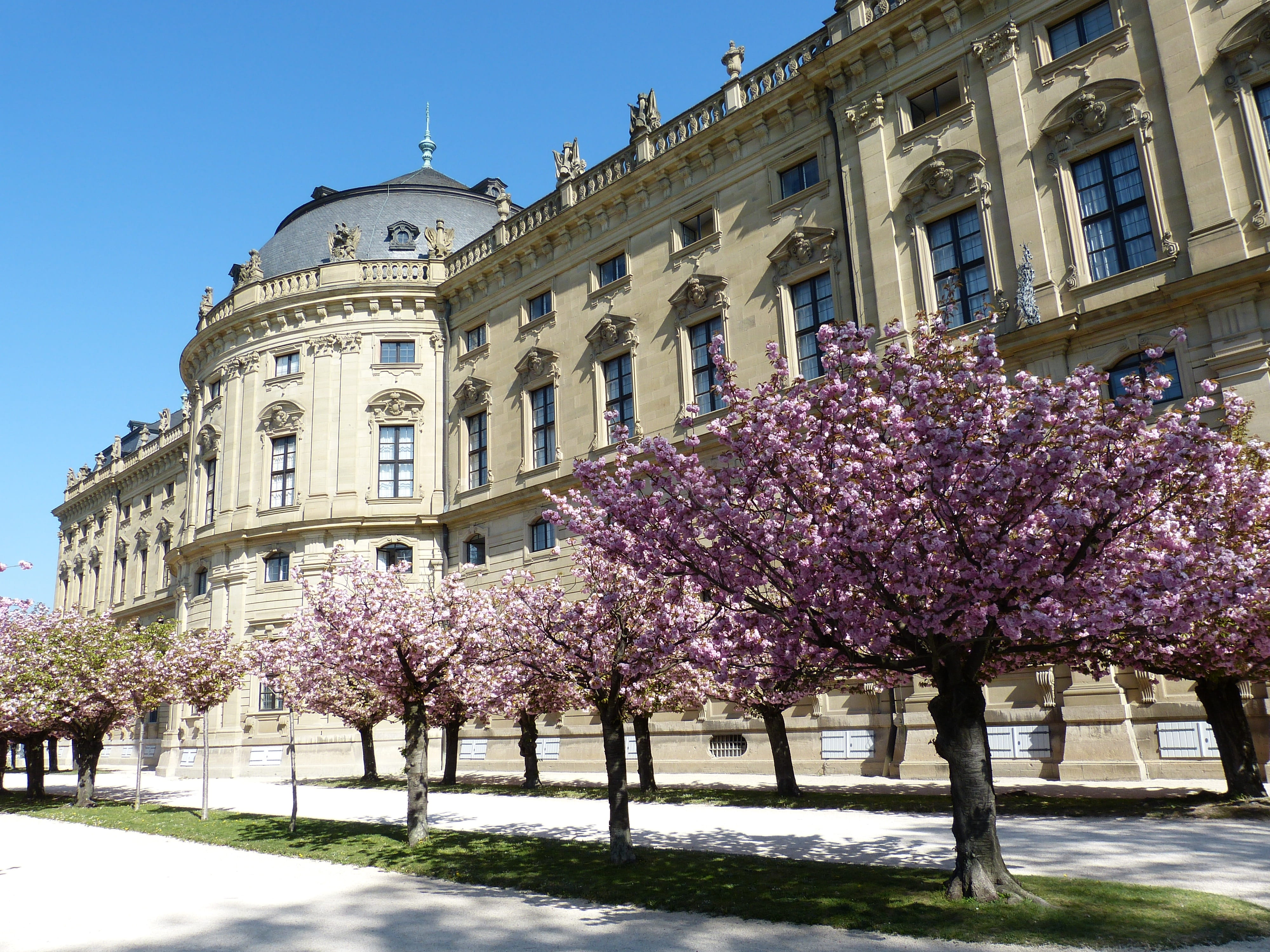 plant, springtime, nature, architecture, city, würzburg, sky, palace, 4K, residence, travel destinations, historically, no people, tree, cherry tree, day, HD Wallpaper