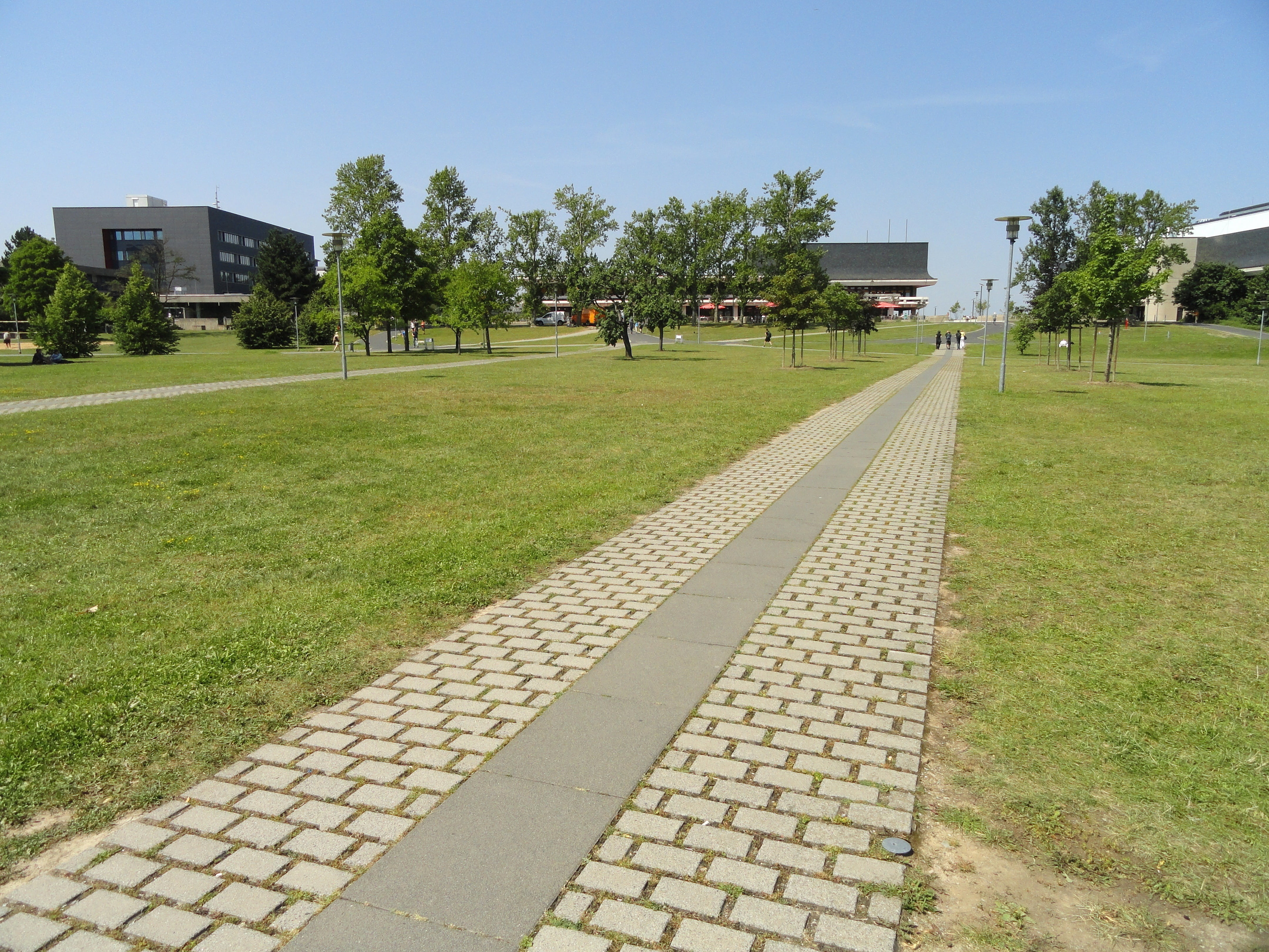 trees, stone, university, germany, the way forward, würzburg, landscape, spring, education, nature, 4K, incidental people, tree, summer, green, architecture, HD Wallpaper