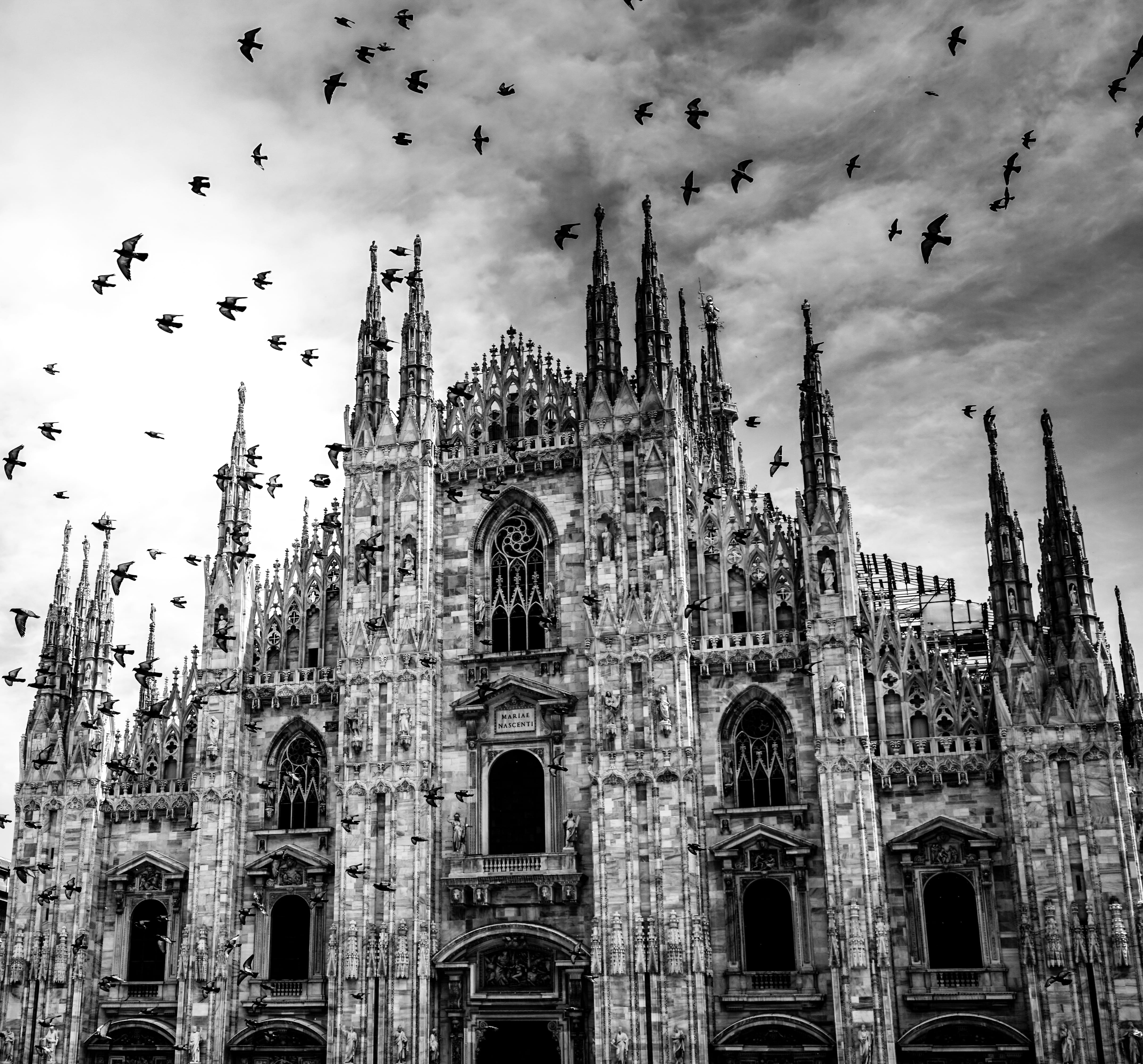 religious, architecture, religion, low angle view, the past, black and white, cathedral, photograph, flying, travel destinations, history, clouds, spire, HD Wallpaper