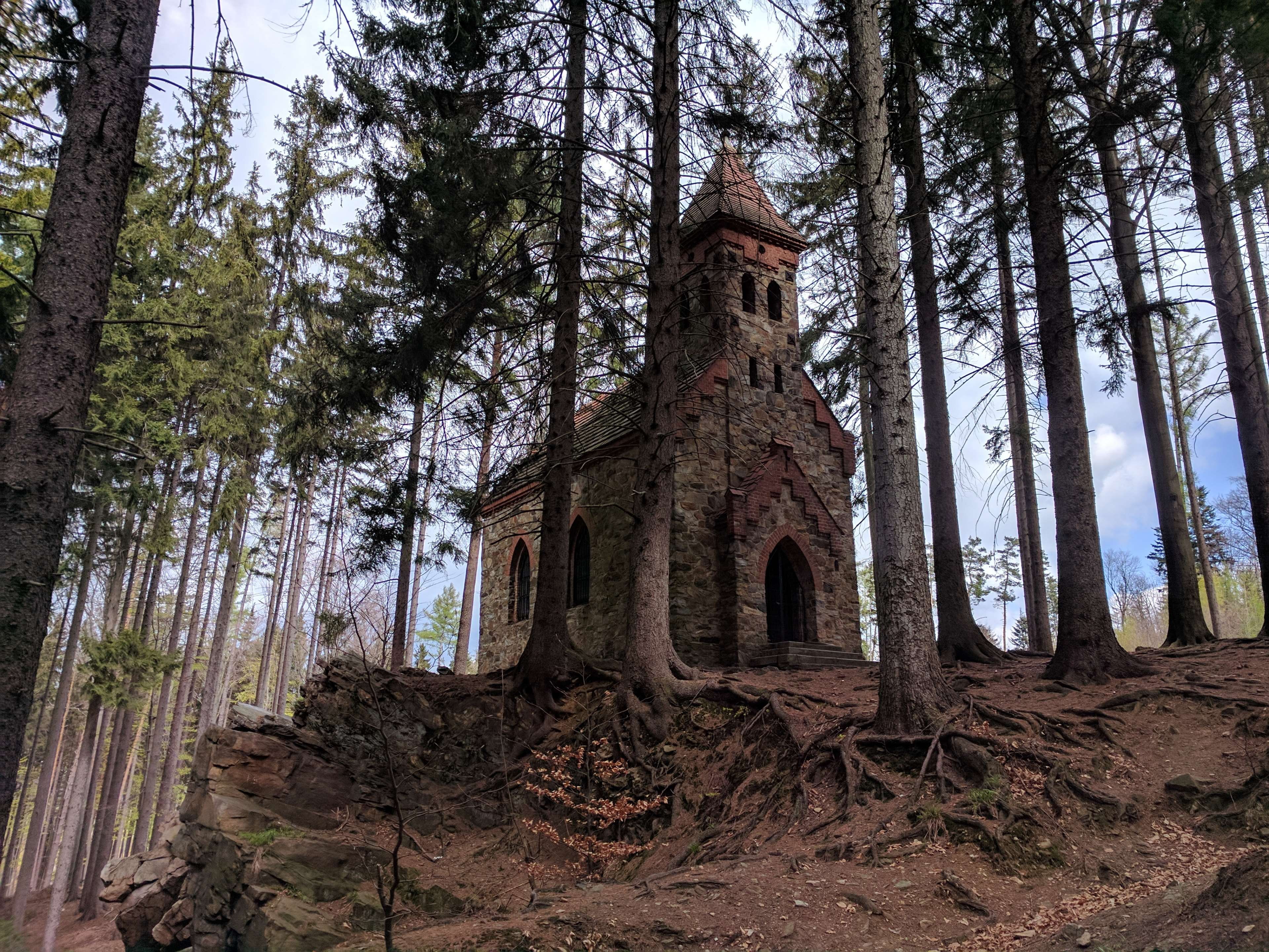 the opawskie mountains, land, trunk, architecture, st john the baptist, outdoors, growth, religion, plant, sudetes, day, place of worship, built structure, HD Wallpaper