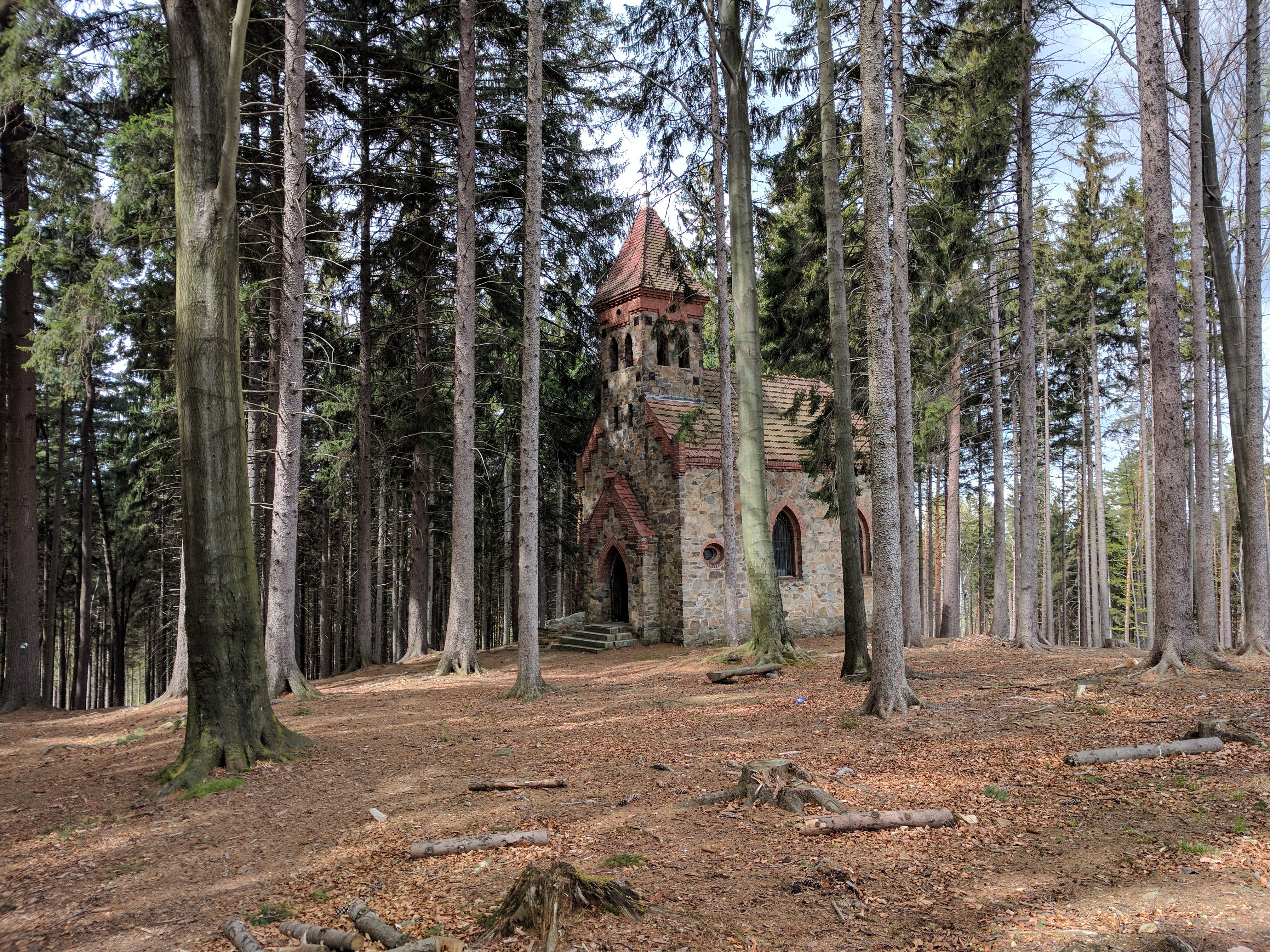 tree, growth, tree trunk, coniferous tree, forest, the eastern sudetes, sudetes, pine tree, chapel, green mountain, beauty in nature, nature, tranquil scene, HD Wallpaper