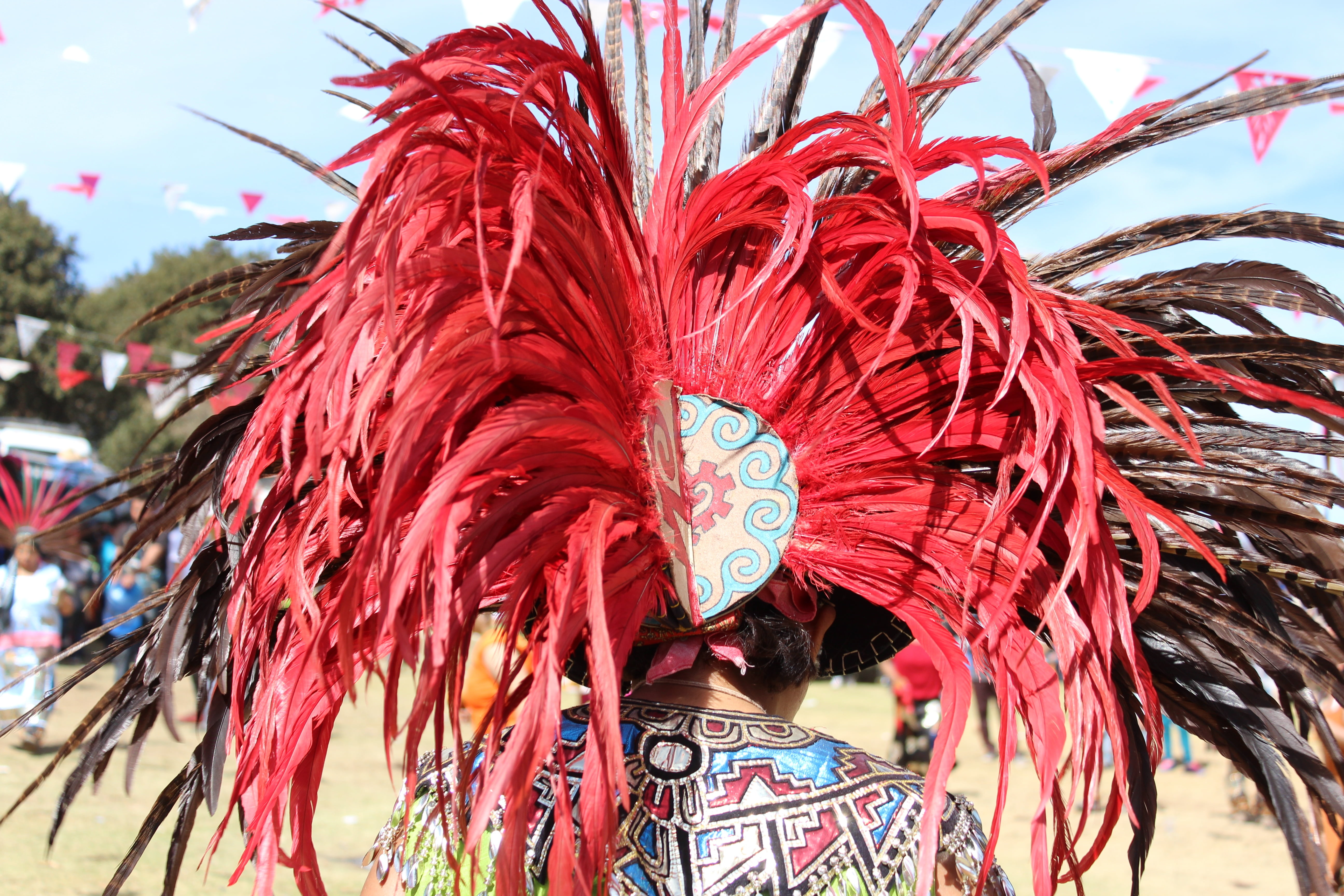 feathers, feather, art and craft, celebration, ave, real people, plumage, bird, focus on foreground, obscured face, helmet, unrecognizable person, close-up, HD Wallpaper