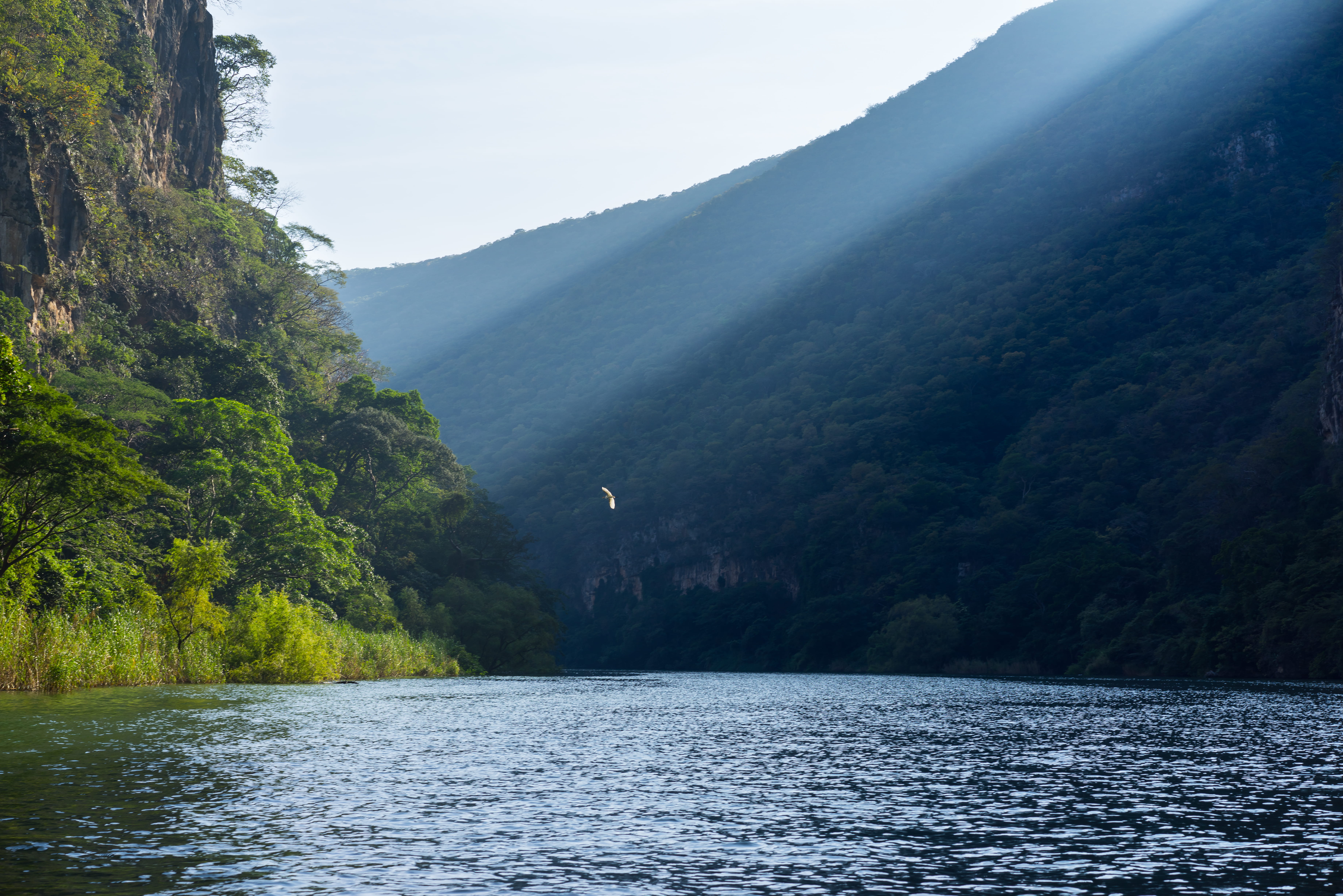 trees, 5K, mountain range, idyllic, plant, lake, day, outdoors, canyon, no people, non-urban scene, tranquility, tranquil scene, scenics - nature, grijalva river, HD Wallpaper