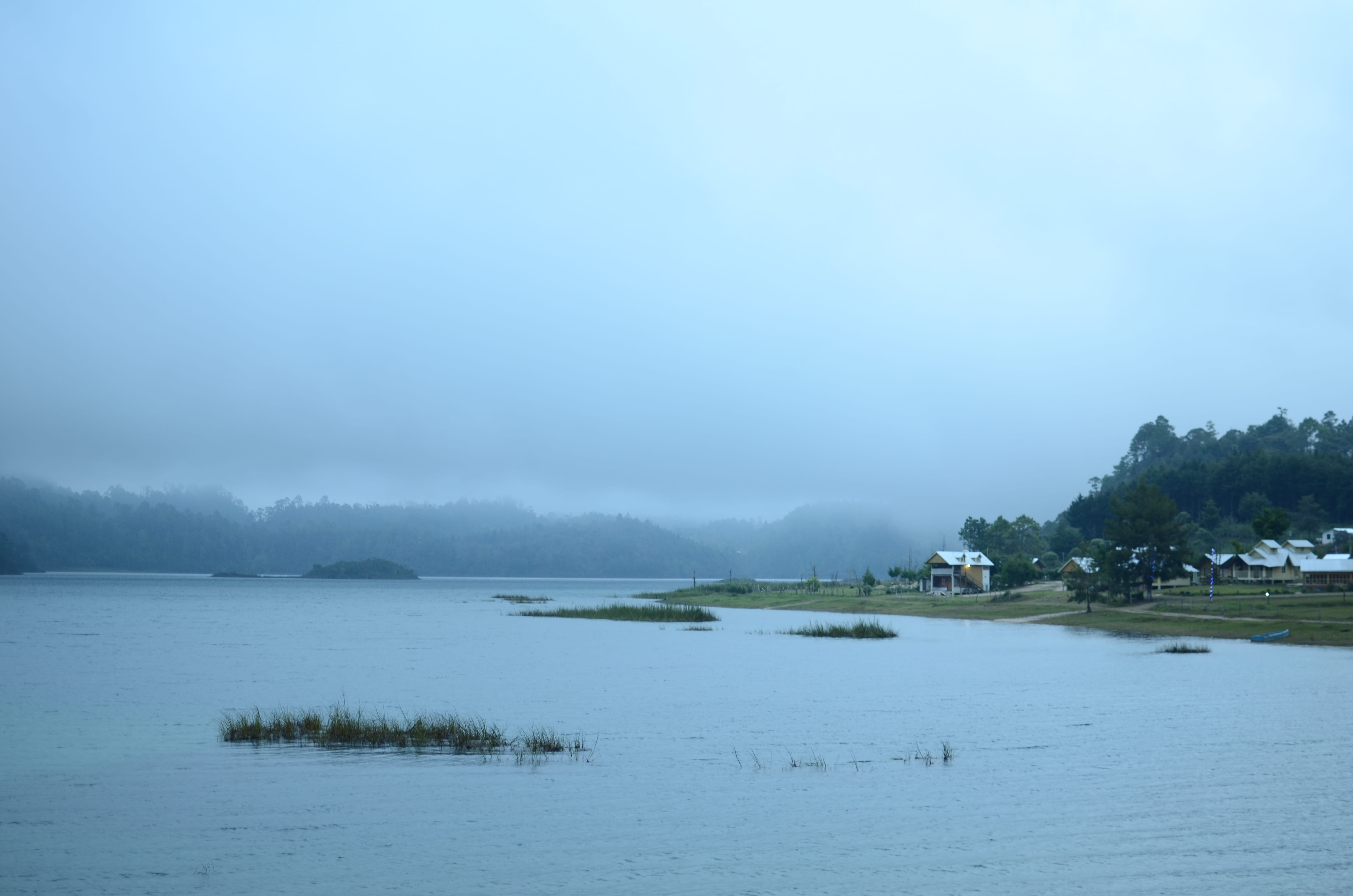 waterfront, grass, water, mexico, 4K, tranquil scene, shoreline, coast, canal, tranquility, day, chiapas, river, beauty in nature, no people, land, fog, HD Wallpaper