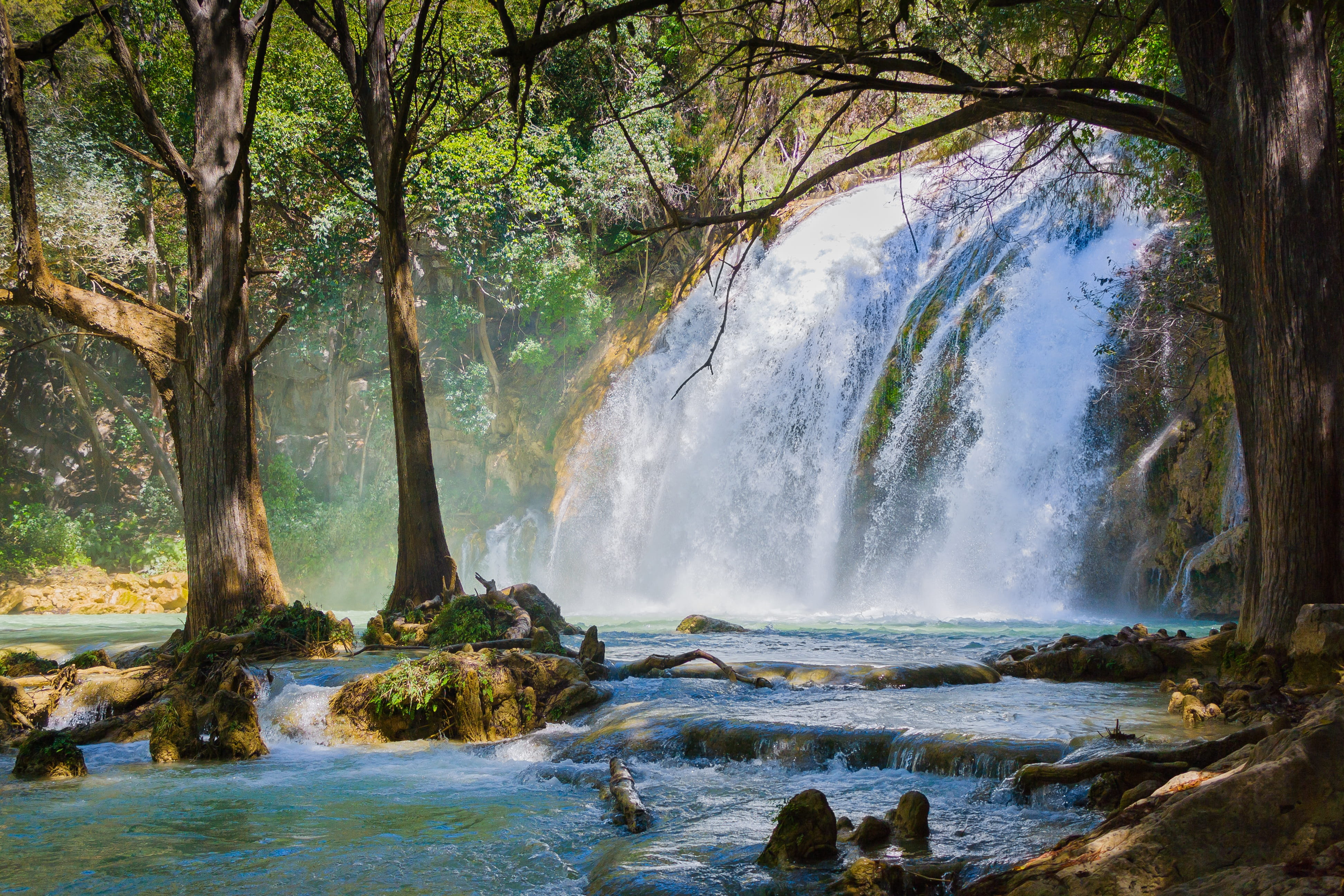 romantic, jungle, long exposure, non-urban scene, nature, flowing, environment, power in nature, wet, green, falling water, natural, outdoors, no people, HD Wallpaper