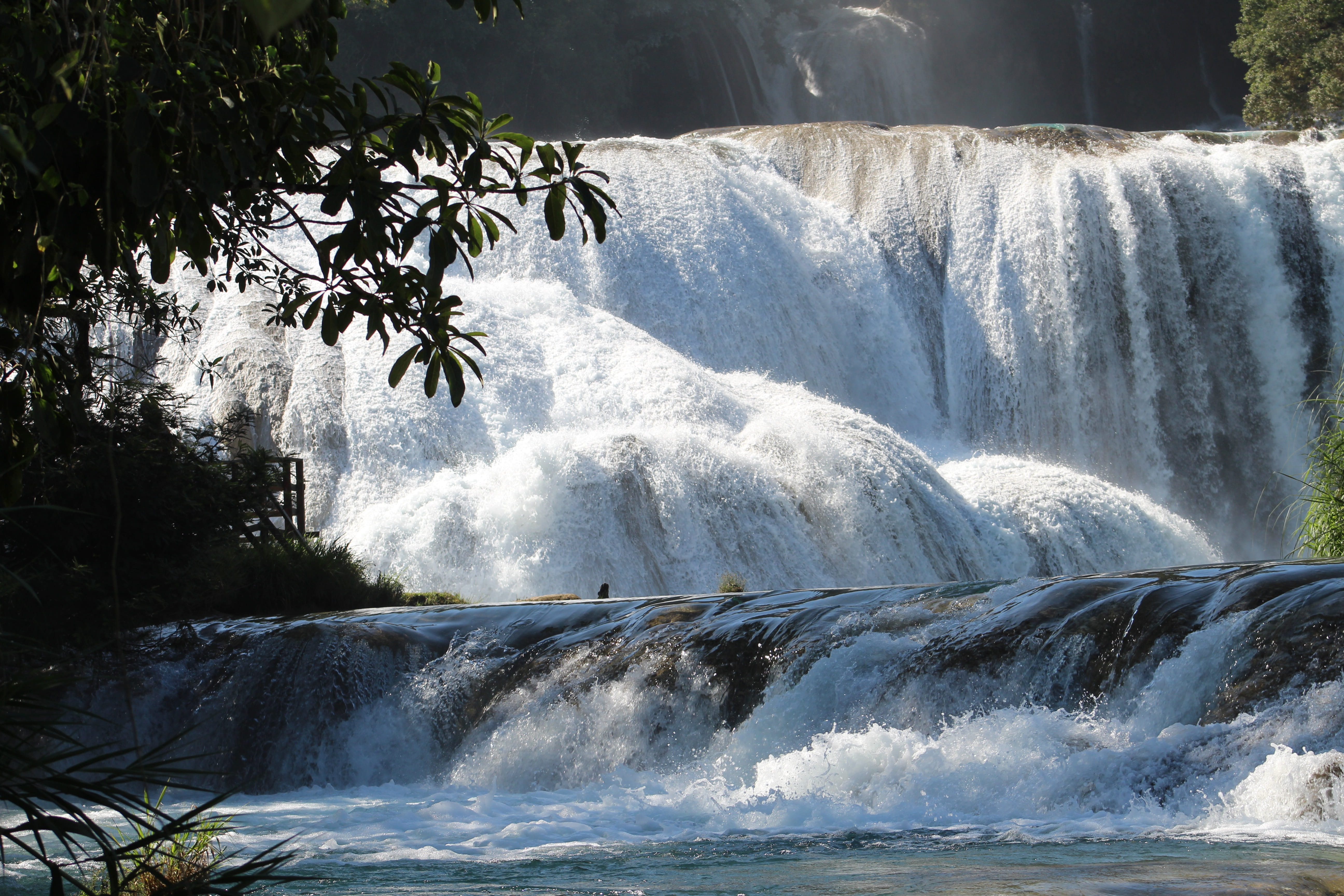 flowing, mexico, day, sunlight, beauty in nature, plant, 5K, jungle, water, nature, landscape, tree, chiapas, power in nature, long exposure, scenics - nature, HD Wallpaper
