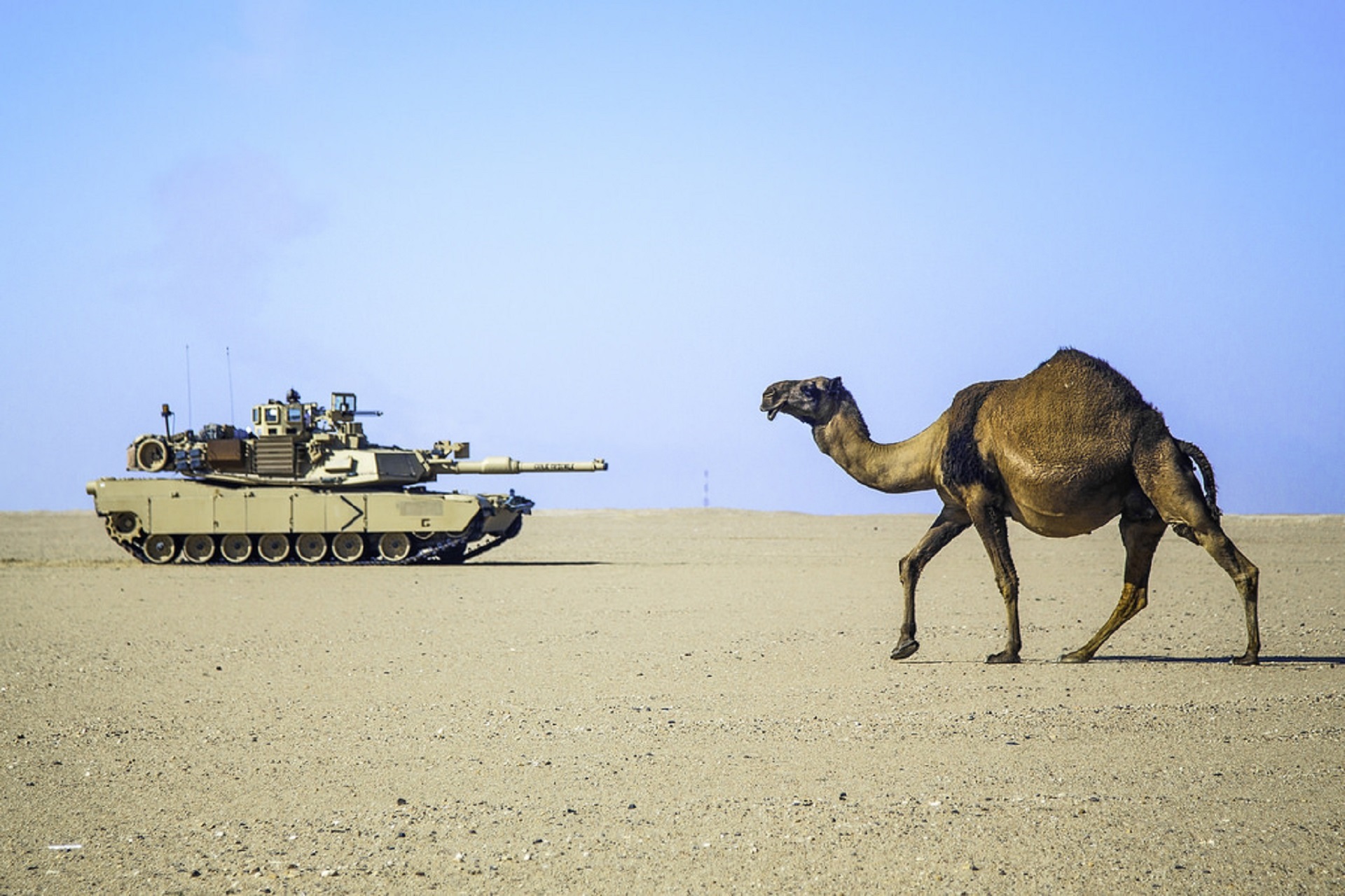 arid climate, clear sky, mode of transportation, no people, tank, dessert, aggression, hot, sky, standing, mammal, outdoors, on the move, military, sand, HD Wallpaper