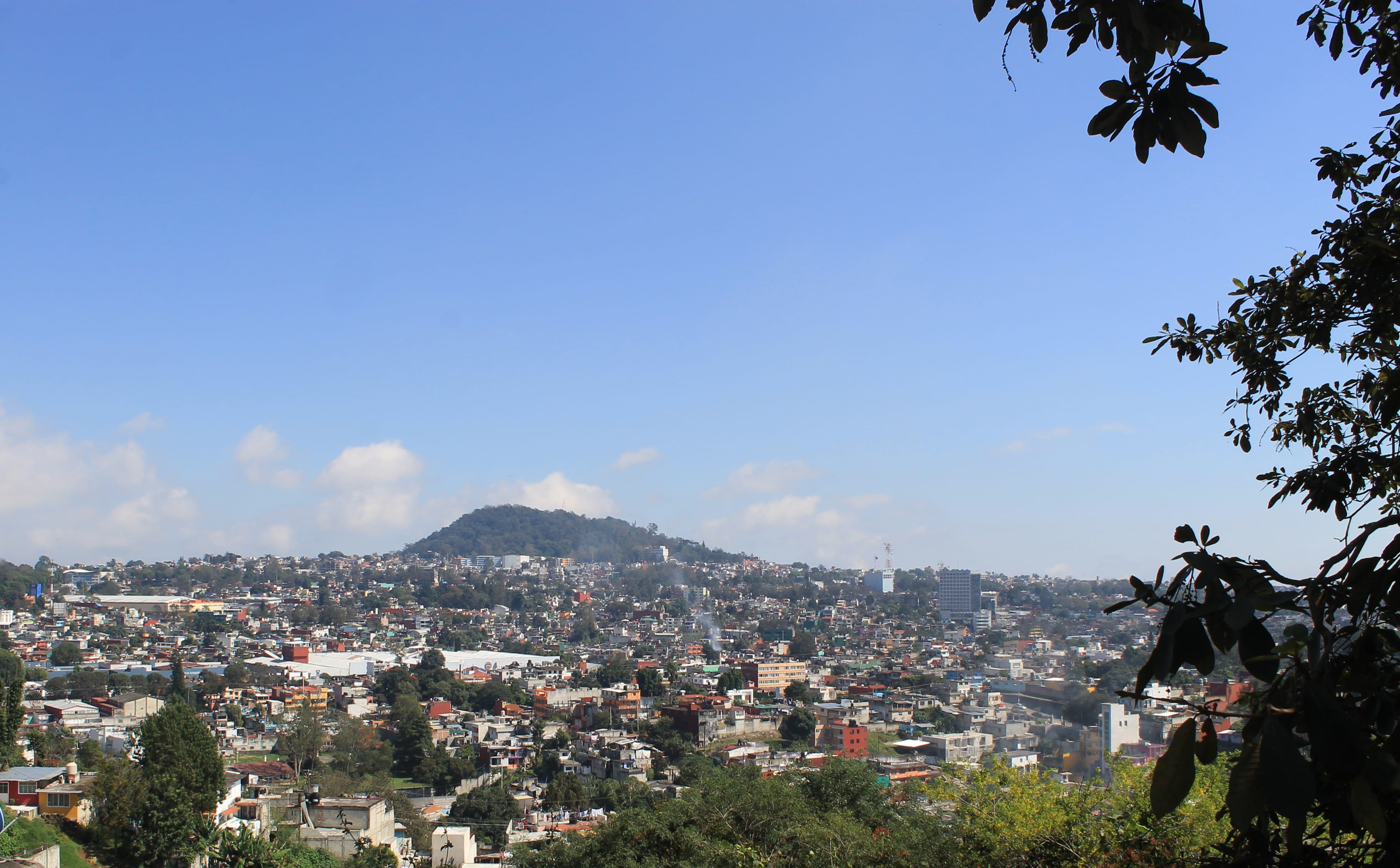 architecture, city, Veracruz, tree, veracruz, outdoors, plant, residential building, people, 4K, mexico, sky, cityscape, nature, built structure, landscape, HD Wallpaper