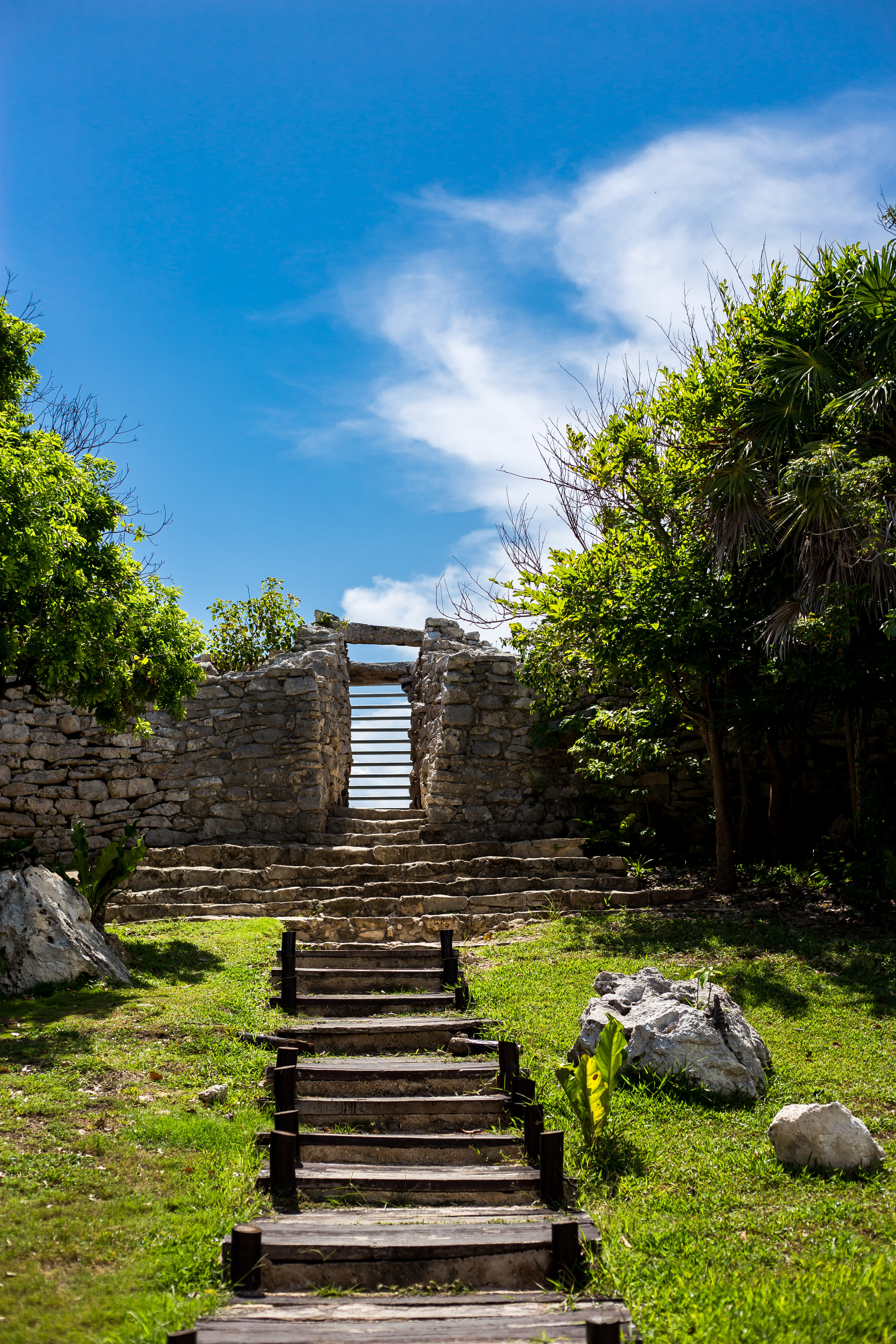 archaeology, travel destinations, mexico, the past, tree, quintana roo mexico, nature, historical, green color, steps and staircases, cloud - sky, solid, Phone HD Wallpaper