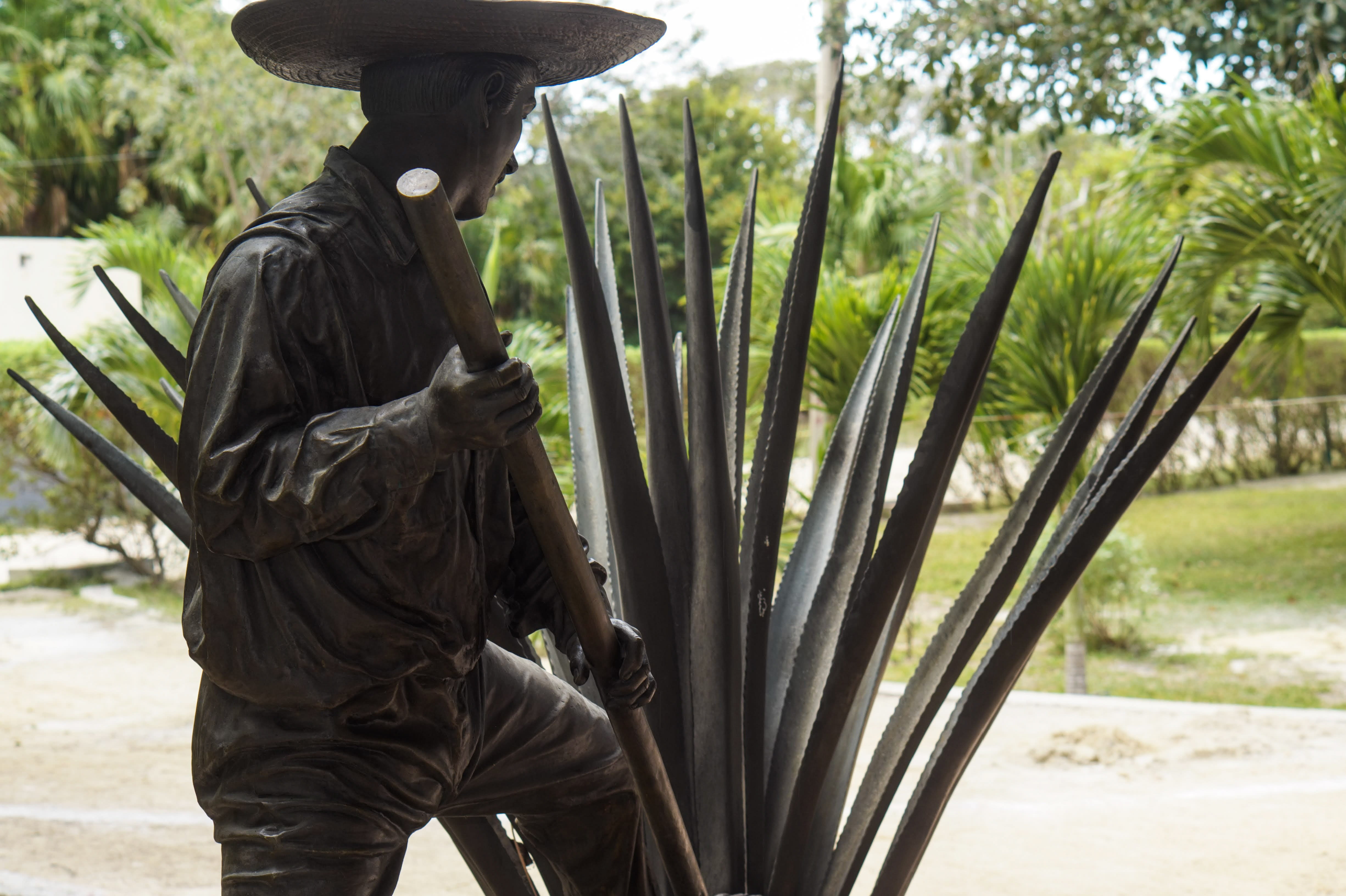 three quarter length, stone, mexico, side view, nature, history, one person, vacation, land, standing, mayan, day, growth, farmer, statue, field, yucatan, HD Wallpaper