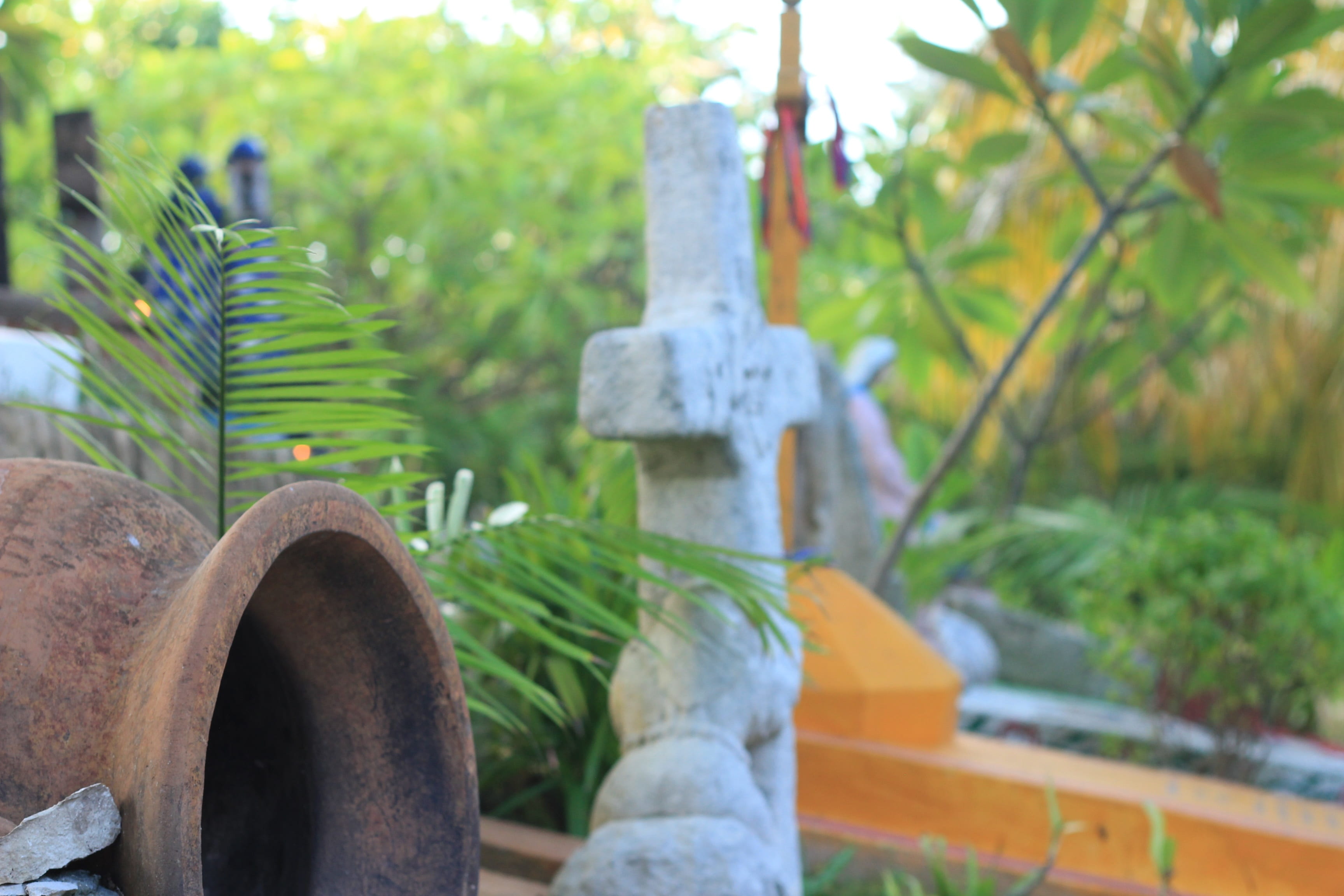 day of the dead, plant, culture, xcaret, stone, religion, solid, landscape, wheel, cemetery, no people, spirituality, nature, grave, history, growth, focus on foreground, HD Wallpaper
