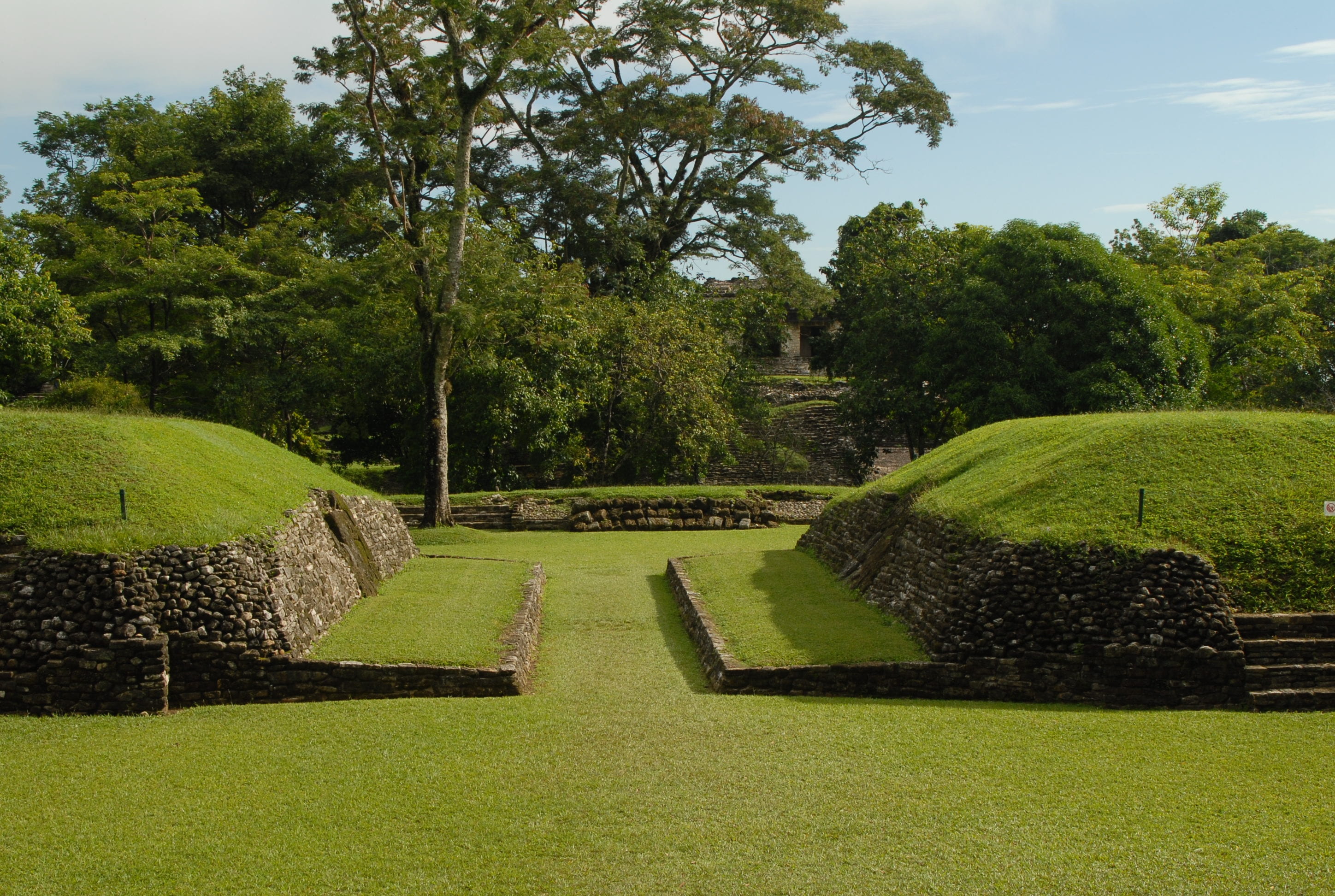sunlight, day, tree, architecture, formal garden, park - man made space, grass, tranquility, footpath, growth, green color, no people, scenics - nature, HD Wallpaper