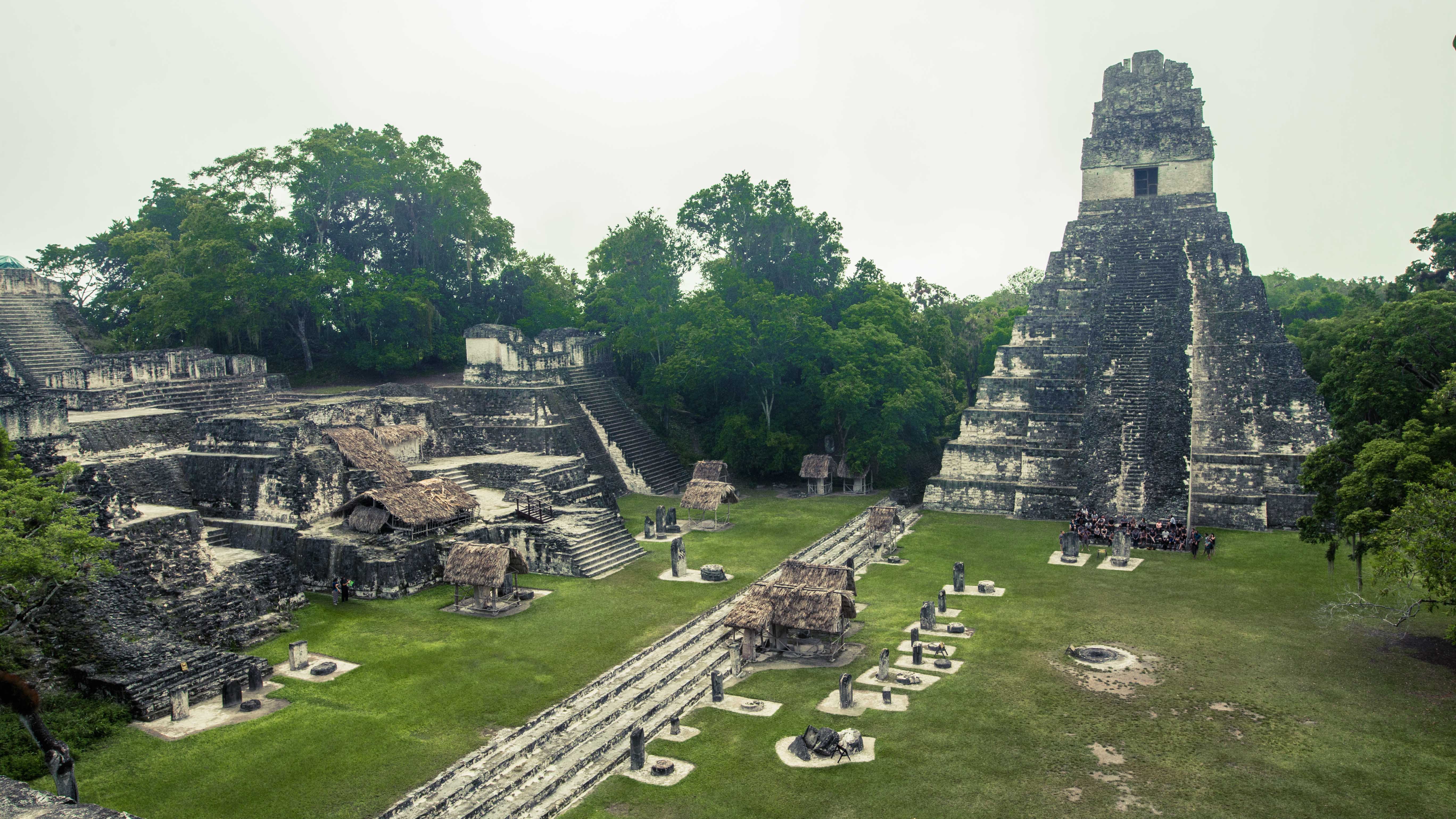 plant, built structure, history, building exterior, no people, tourism, tikal, travel, nature, old ruin, ruined, ancient, archaeology, travel destinations, HD Wallpaper