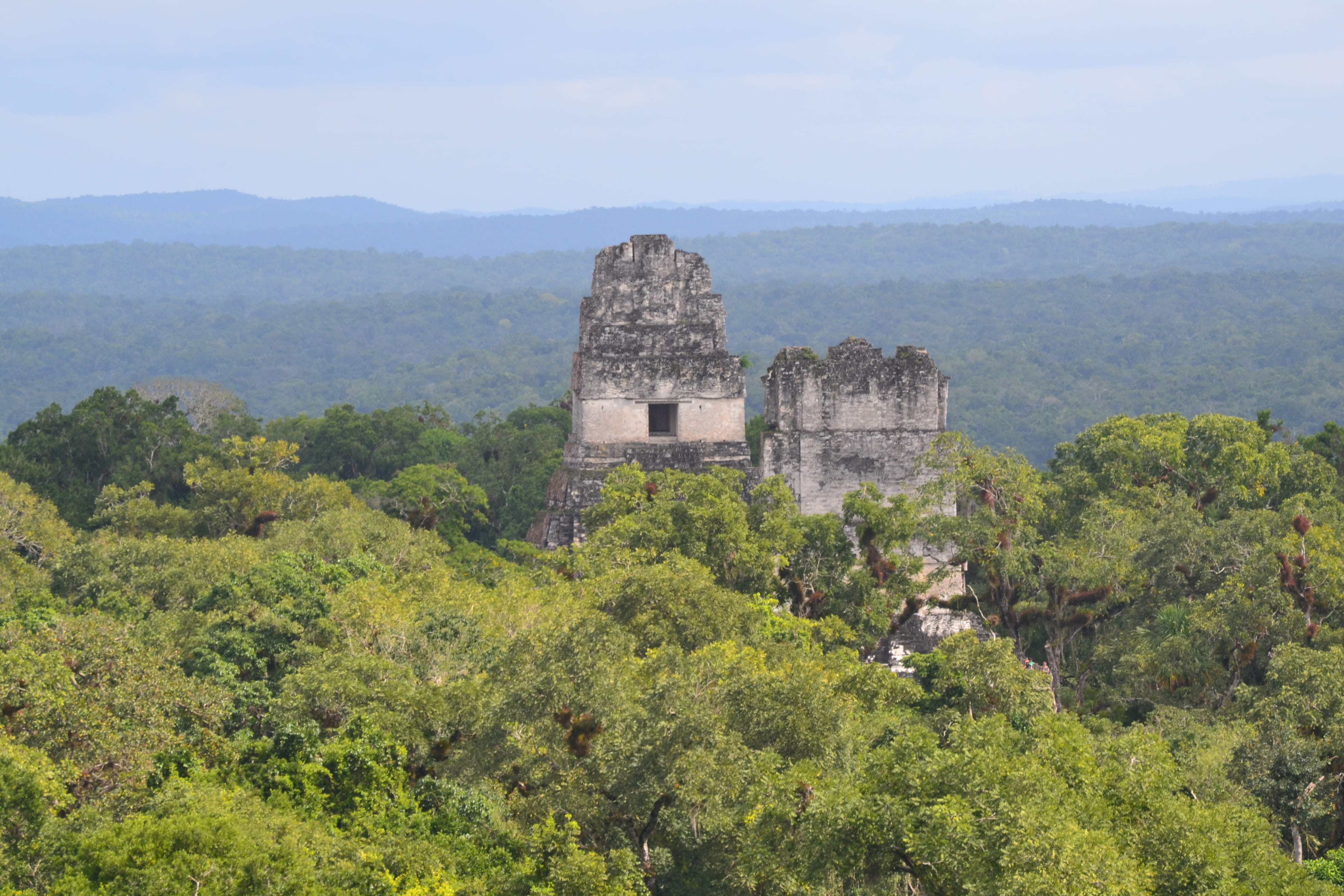 sky, travel, archaeology, history, the past, plant, nature, architecture, day, guatemala, outdoors, tikal, tourism, growth, ancient, building exterior, HD Wallpaper