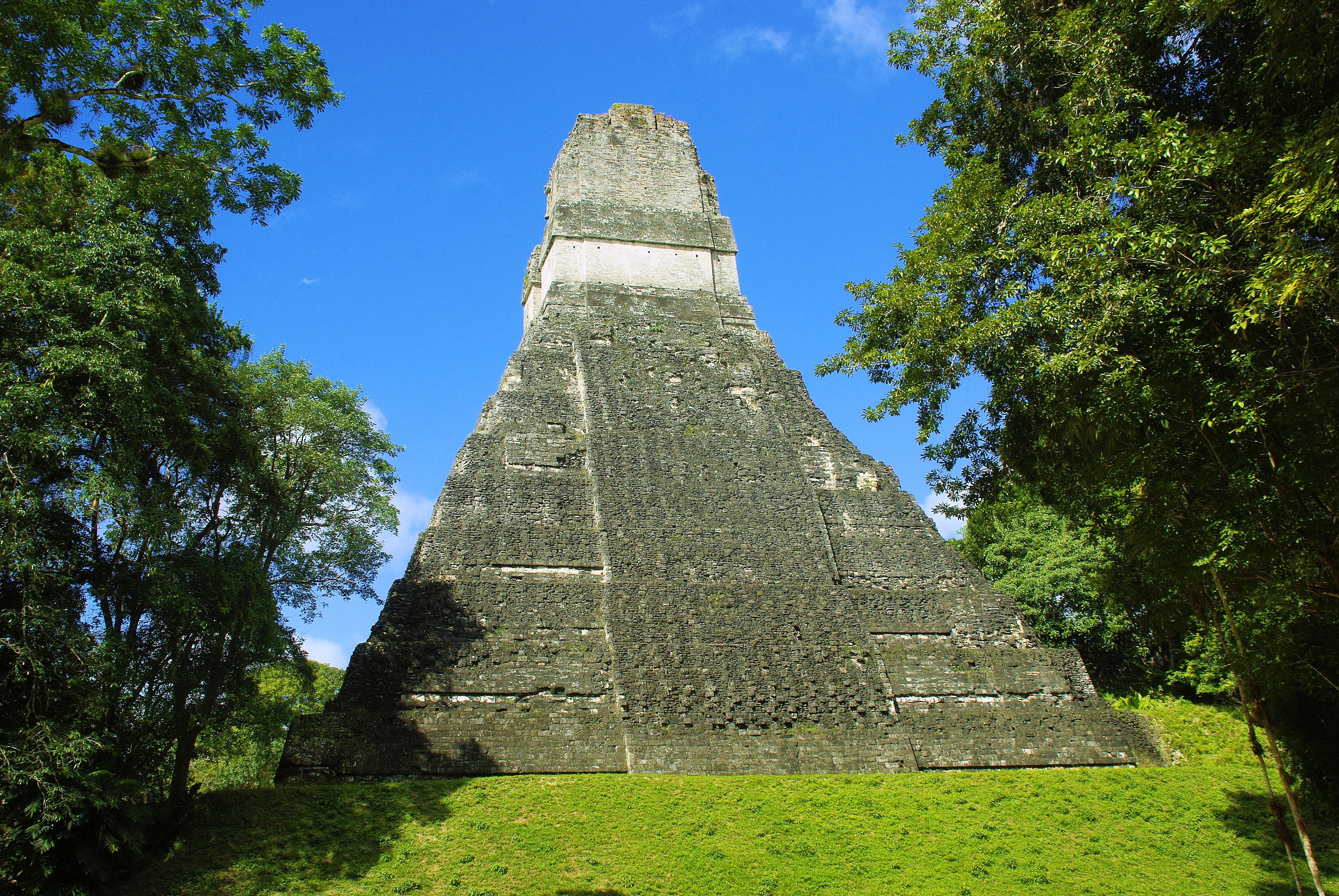 rainforest, day, nature, sky, tourism, ancient civilization, tikal, ruined, plant, outdoors, gray, archaeology, maya, 4K, old, building exterior, pyramid, HD Wallpaper