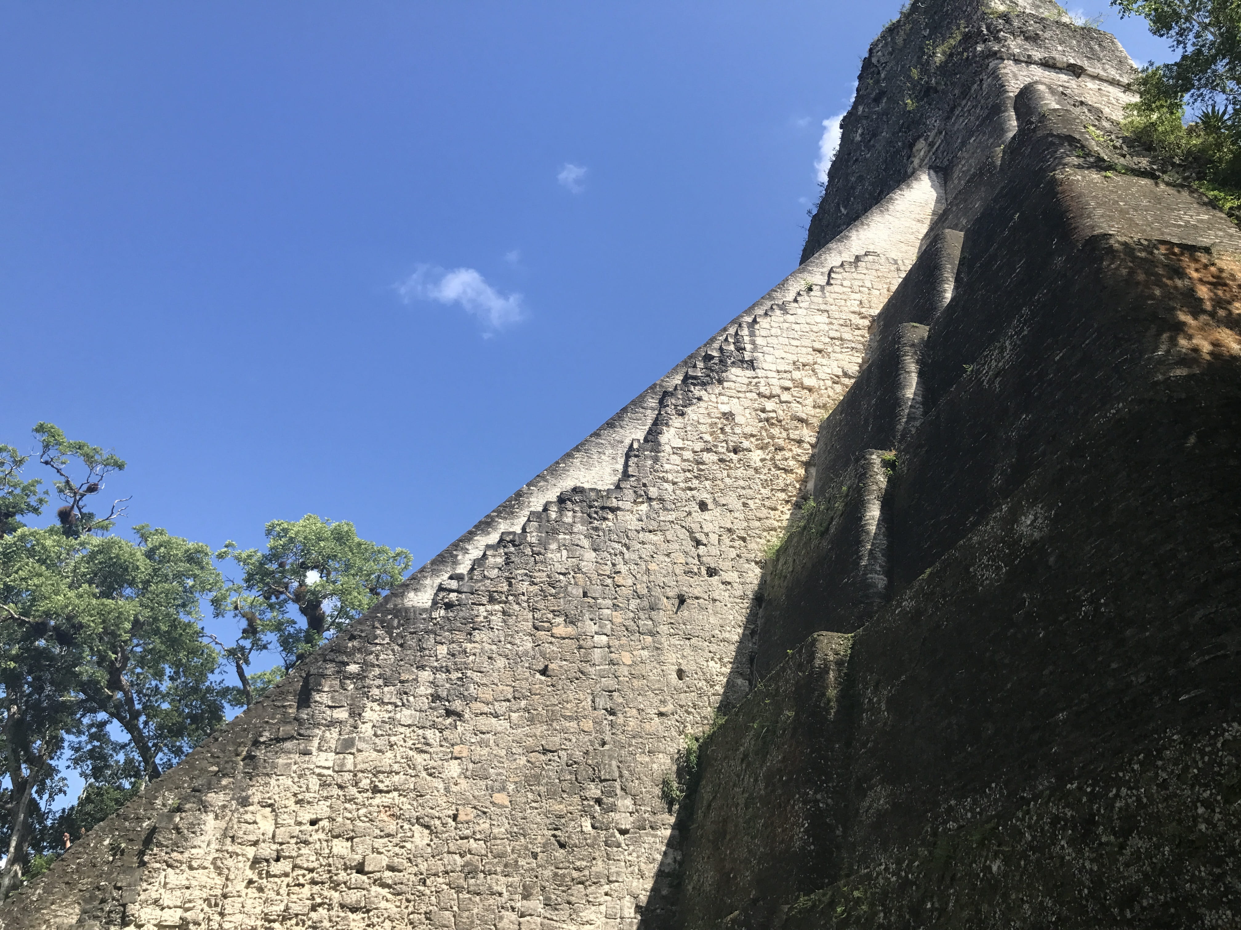 civilization, wall, built structure, forest, jungle, ruin, tourism, no people, national, guatemala, nature, stone, archaeological, tropical, tourist, day, HD Wallpaper