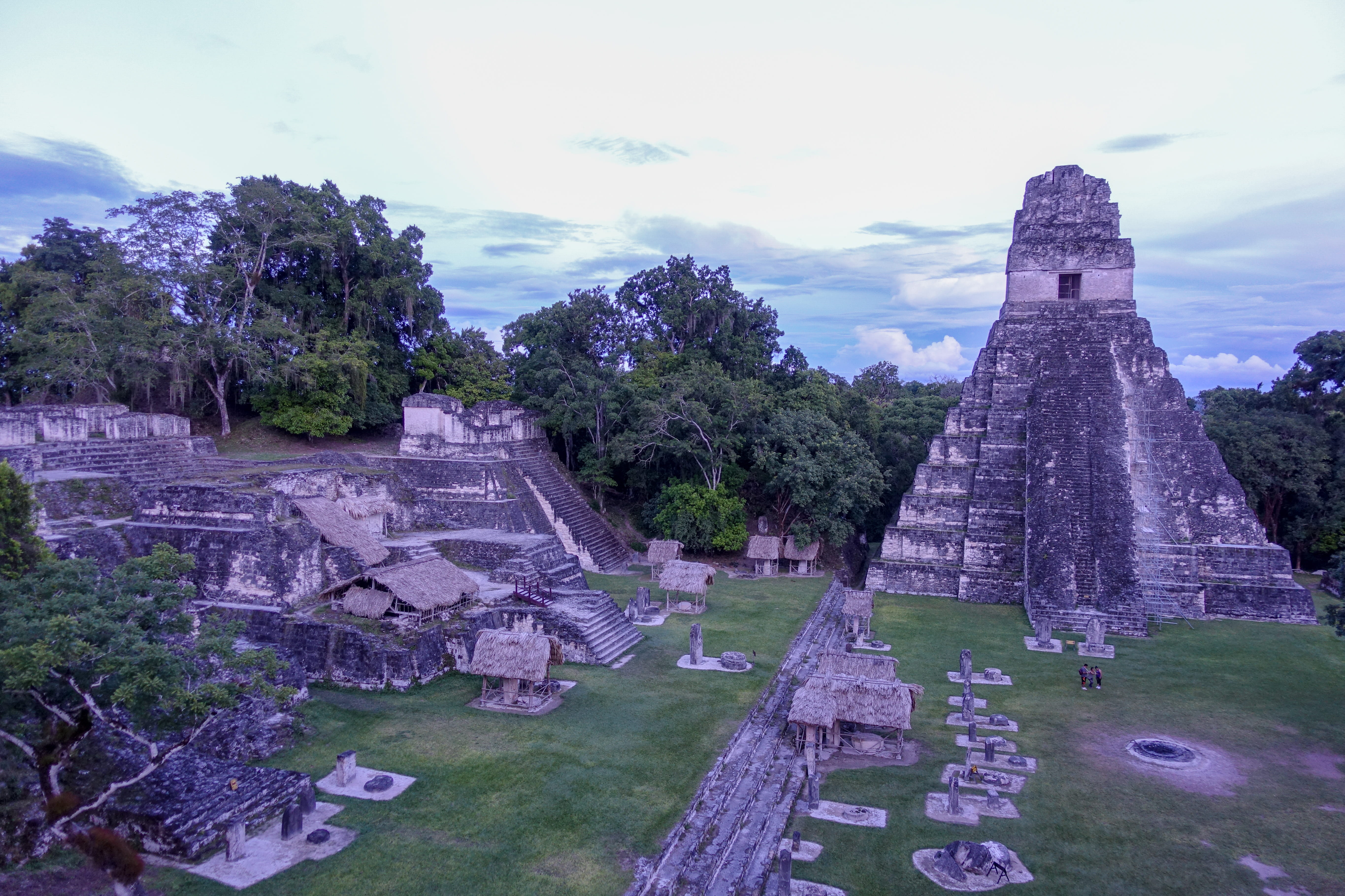 plant, history, tree, travel destinations, pyramid, building exterior, travel, architecture, guatemala, archaeology, nature, ruined, 5K, tikal, cloud - sky, HD Wallpaper
