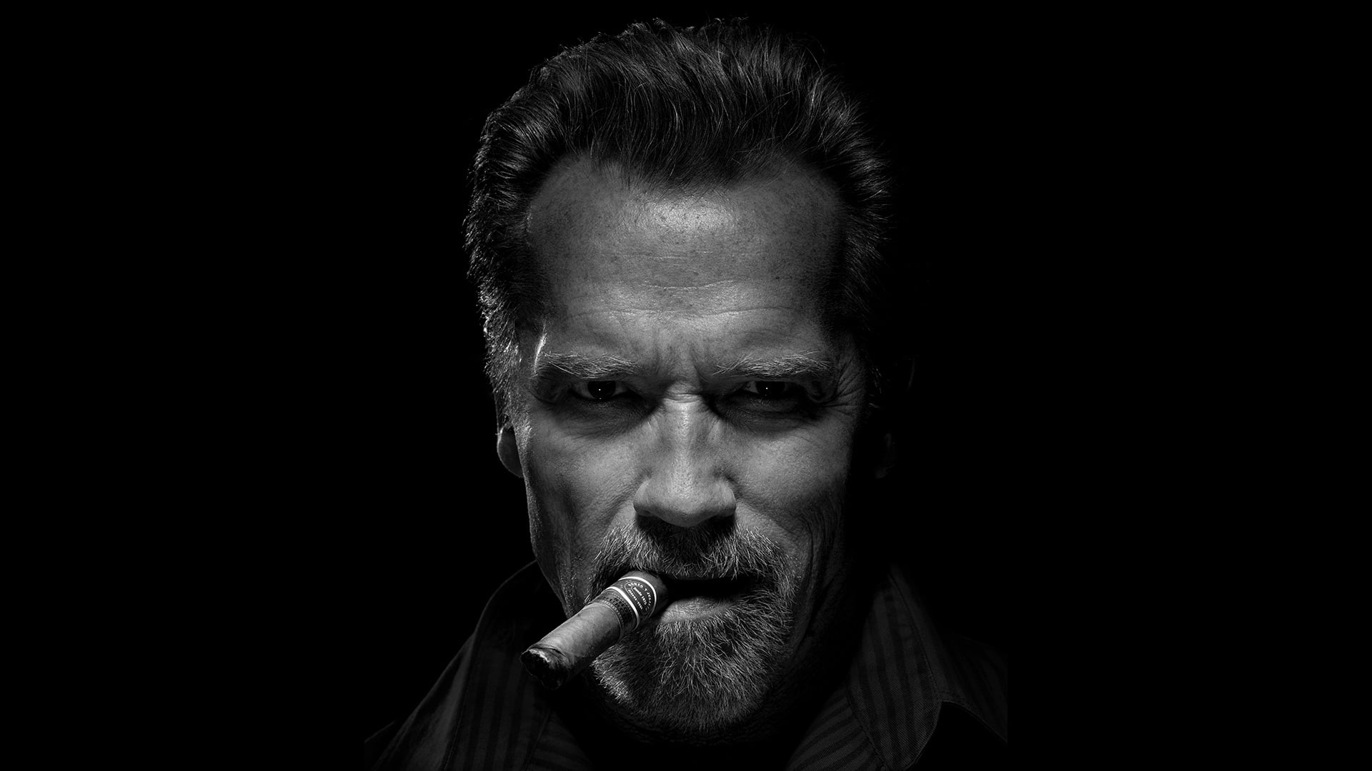 Arnold Schwarzenegger, Face, Black and White, American, Actors, 1080P, Cigar, Actor, HD Wallpaper