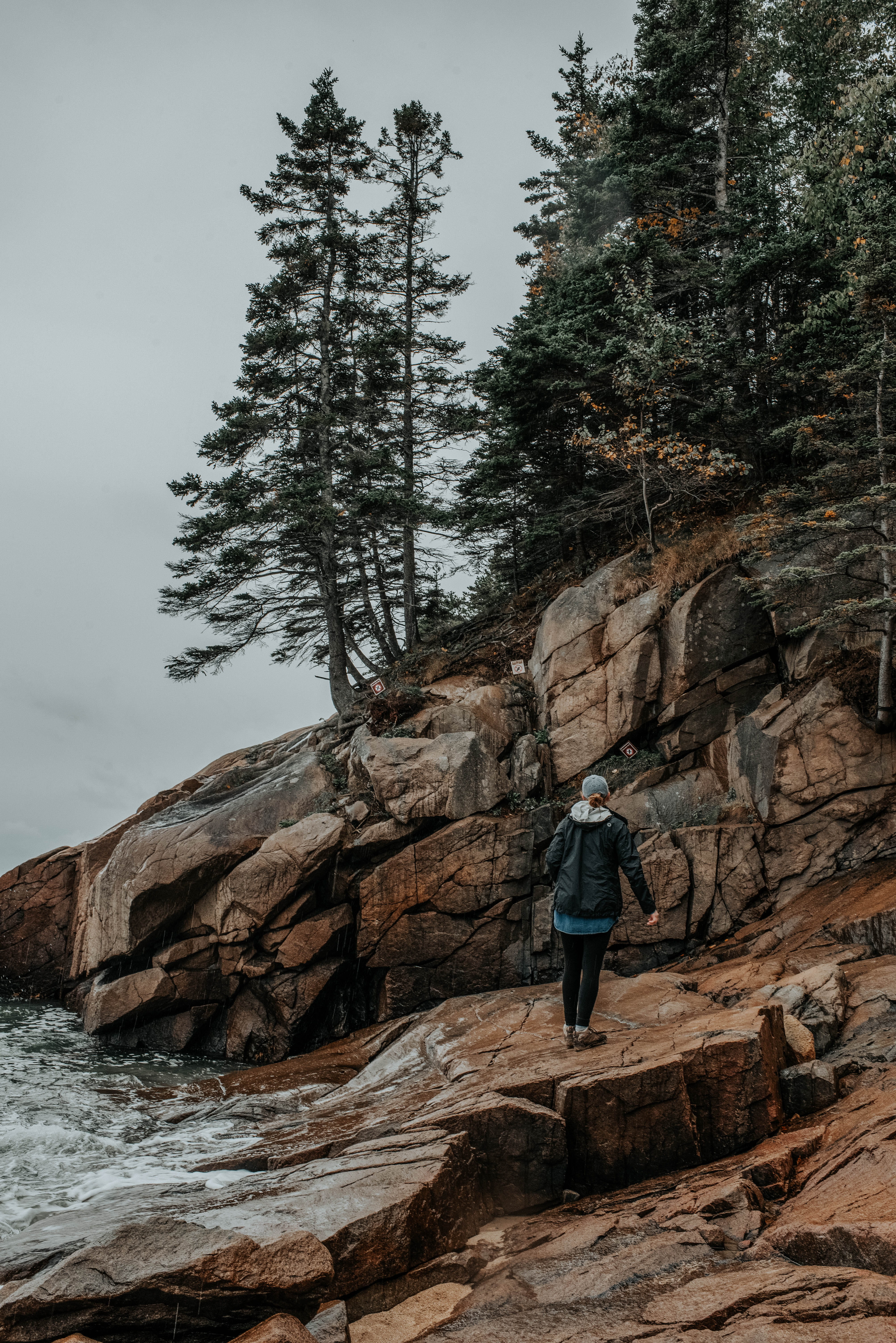 plant, solid, lumber, full length, person, outdoors, climbing, rock - object, grey, beside, real people, flora, hut, bar harbor, vegetation, men, forest, Phone HD Wallpaper