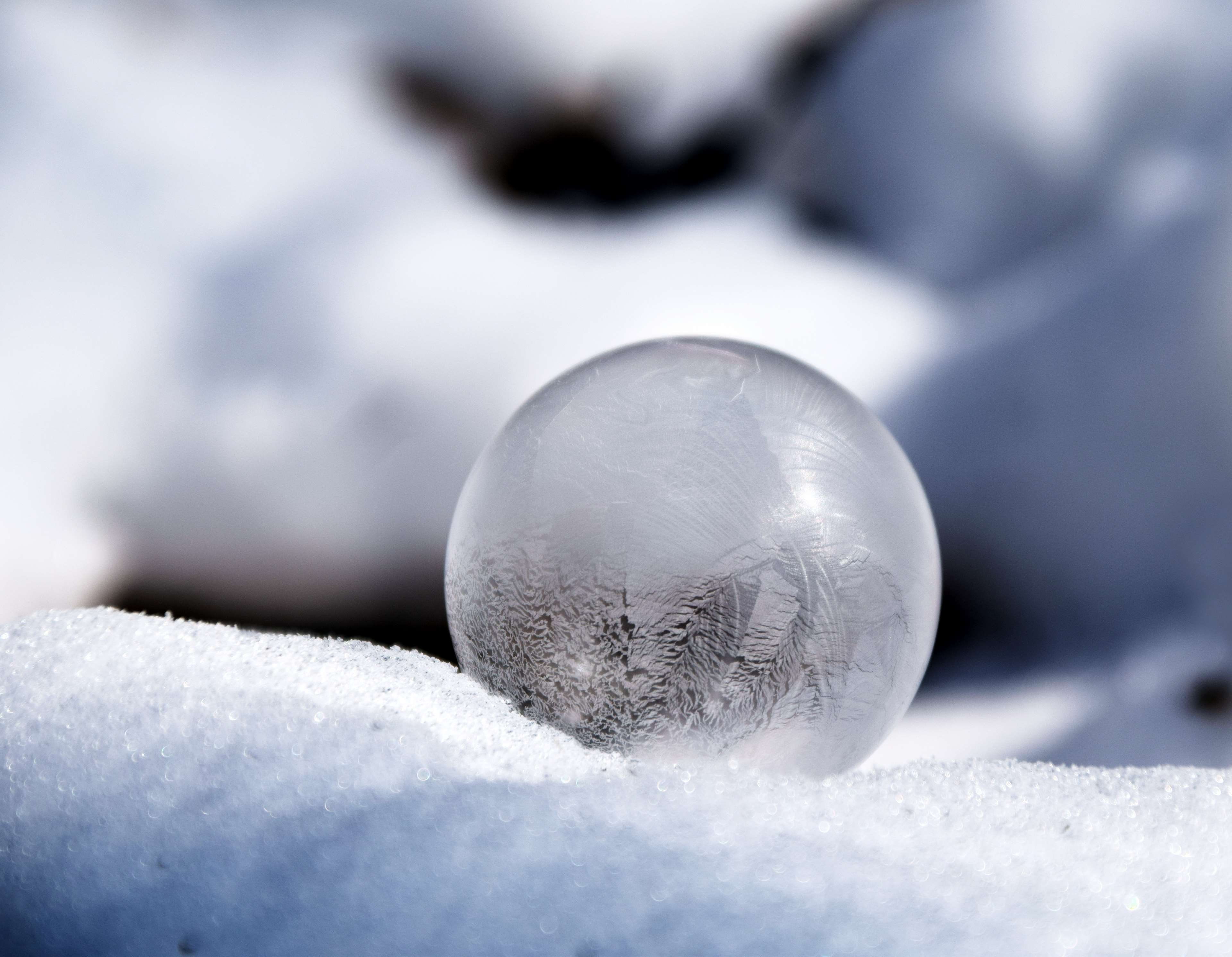 christmas ornament, season, cold, climate, softness, nature, ze, winter, still life, close up, close-up, blur, frozen, christmas, selective focus, icy, HD Wallpaper