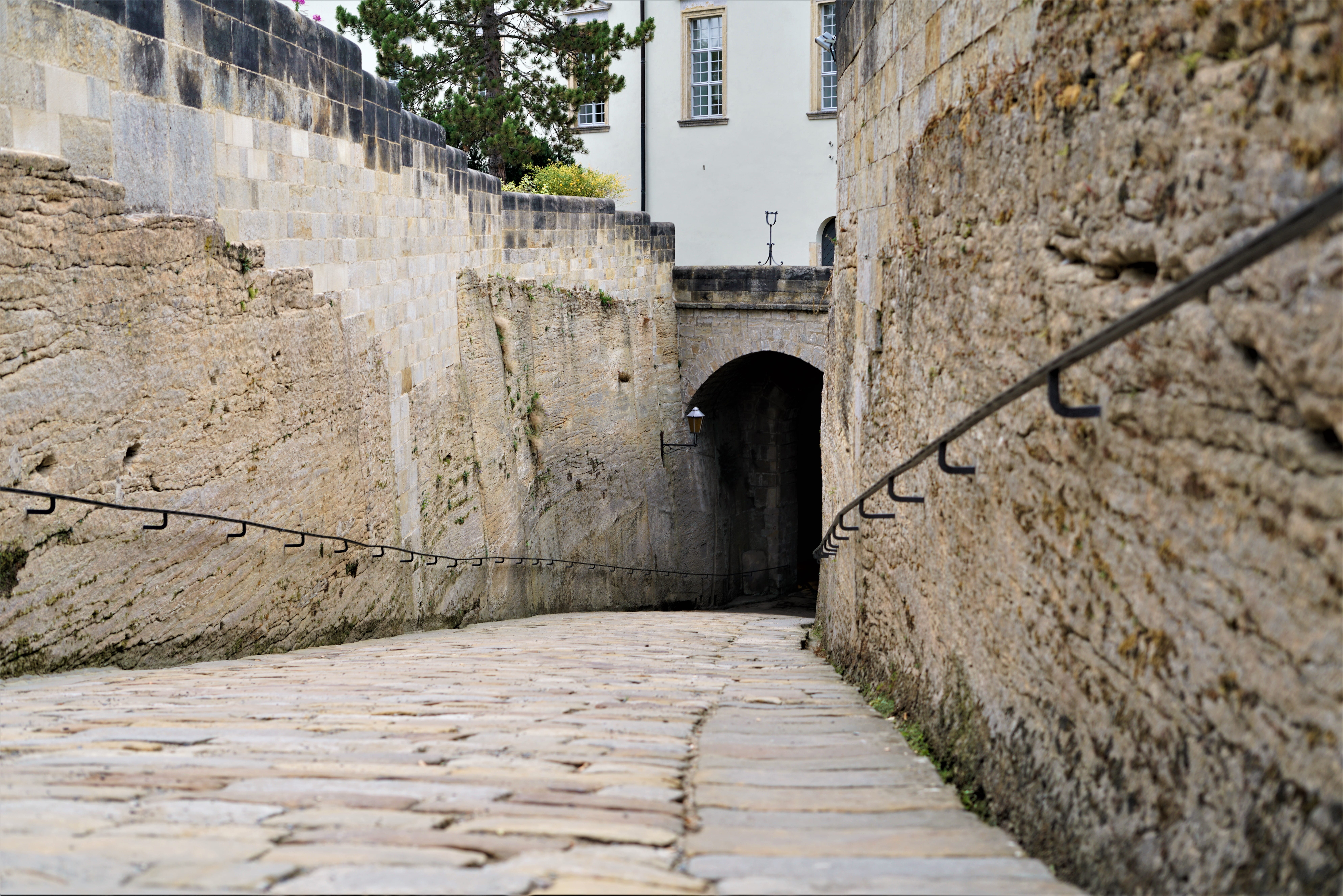 built structure, wall, path, plant, building exterior, fort, slate, nature, narrow, blossom, no people, footpath, pavement, walkway, wall - building feature, HD Wallpaper